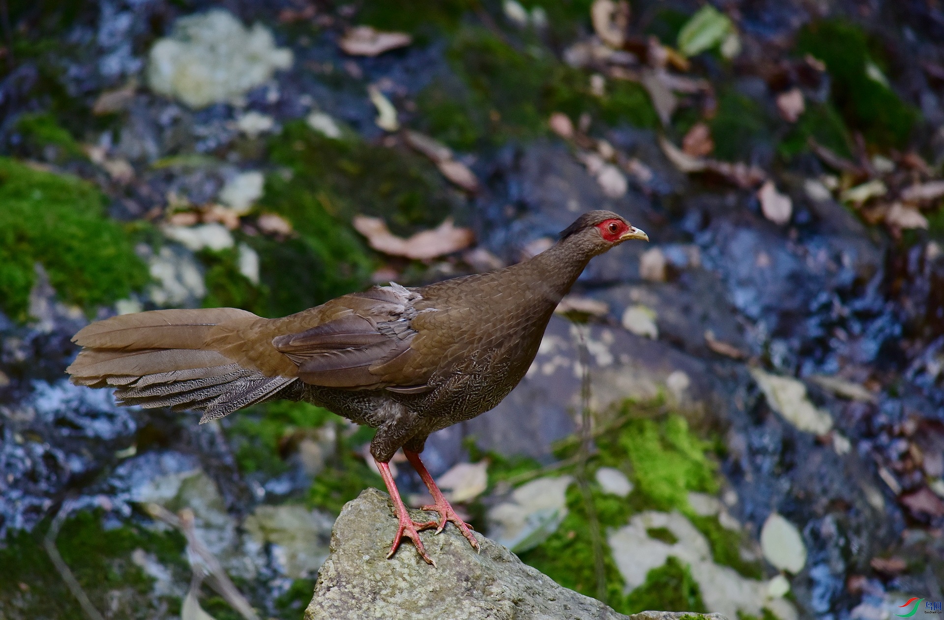 D8I_6580.jpg