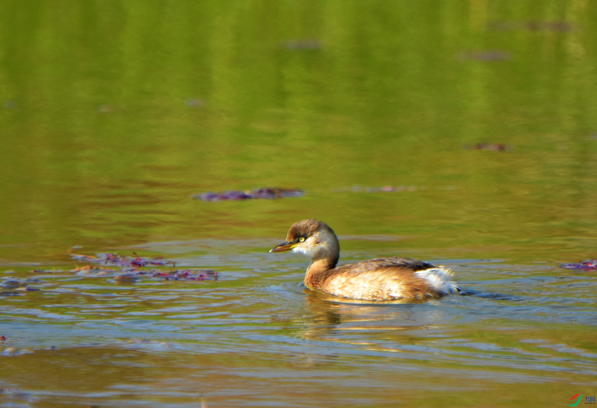 D72_5123.jpg