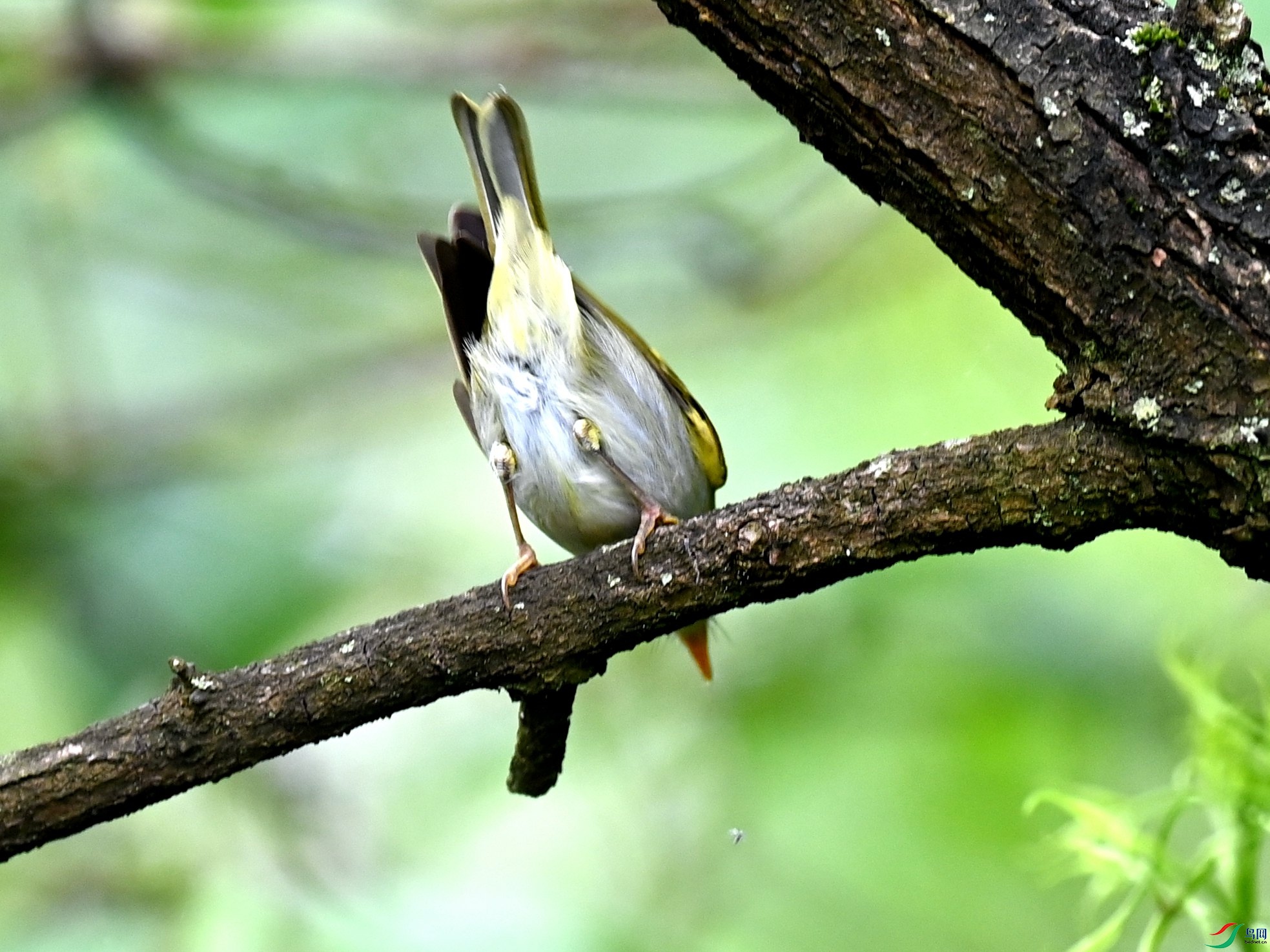 DSC_2011.JPG