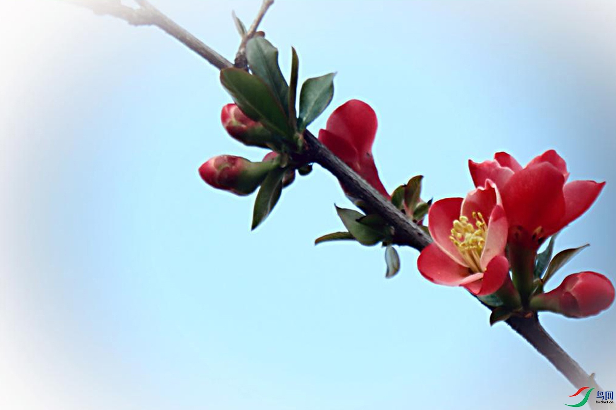 IMG_2466.jpg
