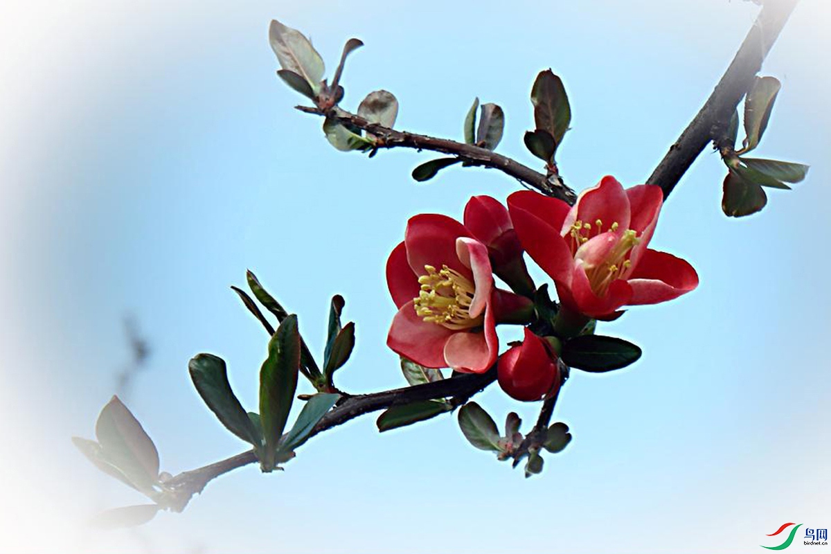 IMG_2467.jpg