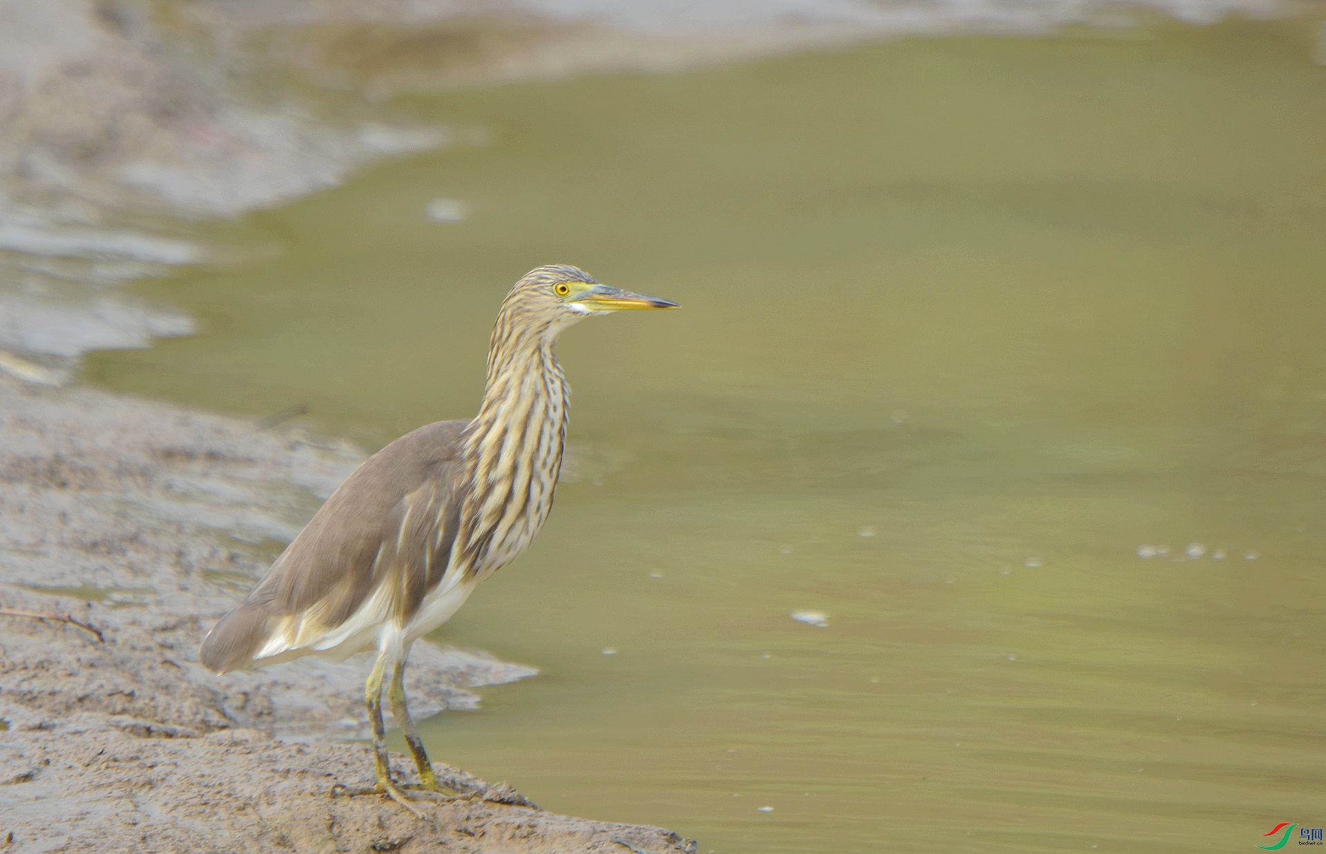 D72_2408.jpg