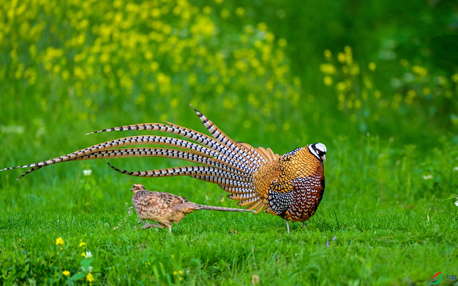 DSC_5373.jpg=359.jpg
