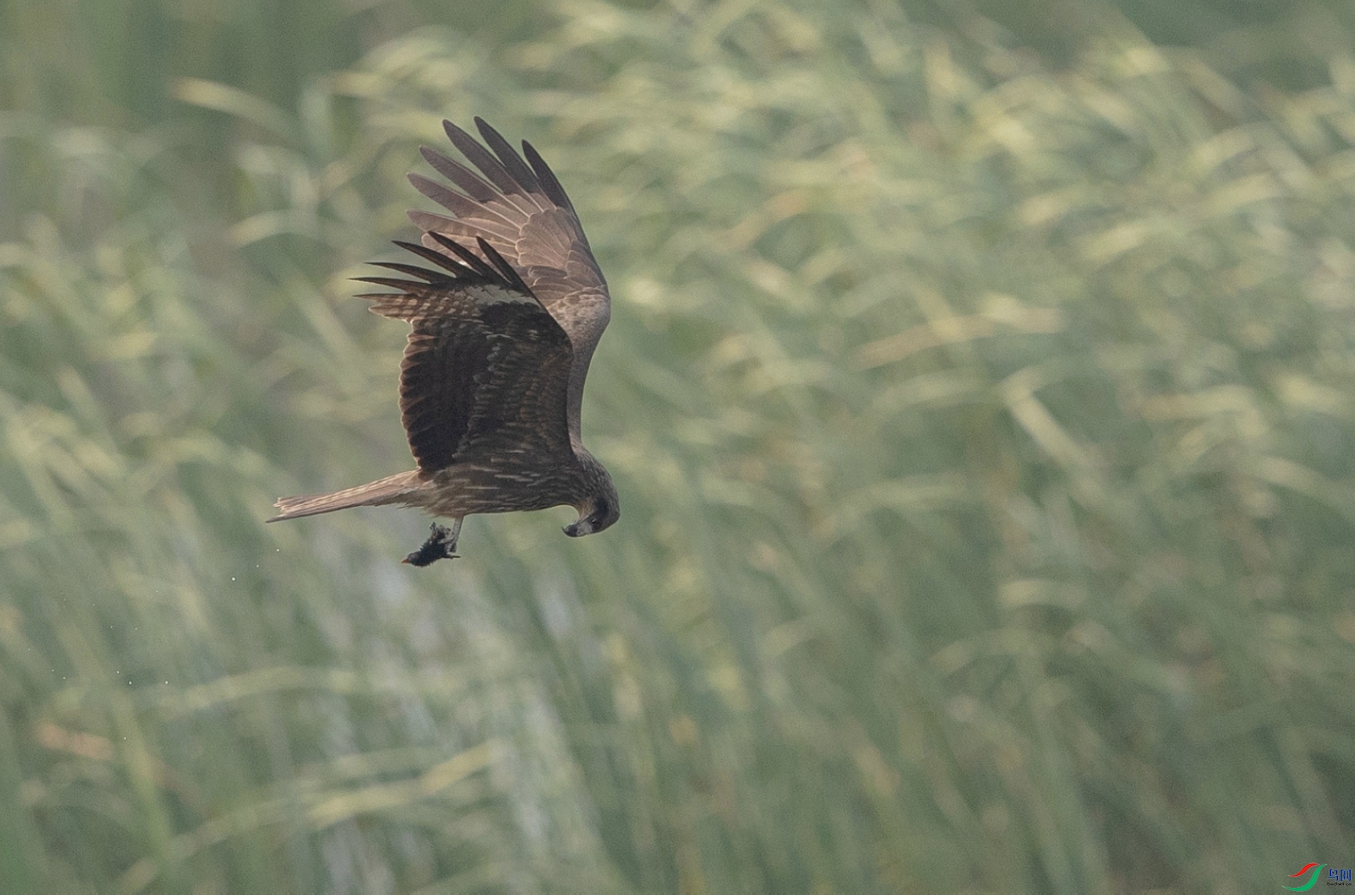 ����AK1I2435�����ĺ�ˮ�����޶��������� (2).jpg