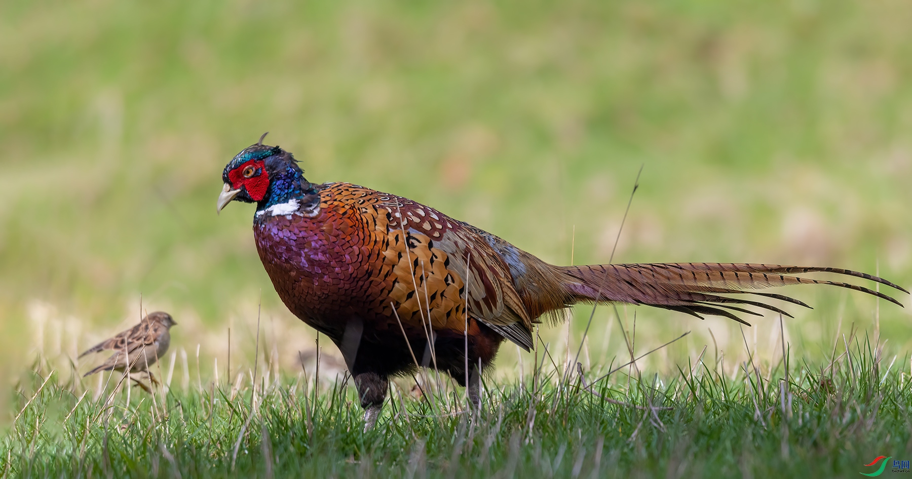 1P8A6156.jpg