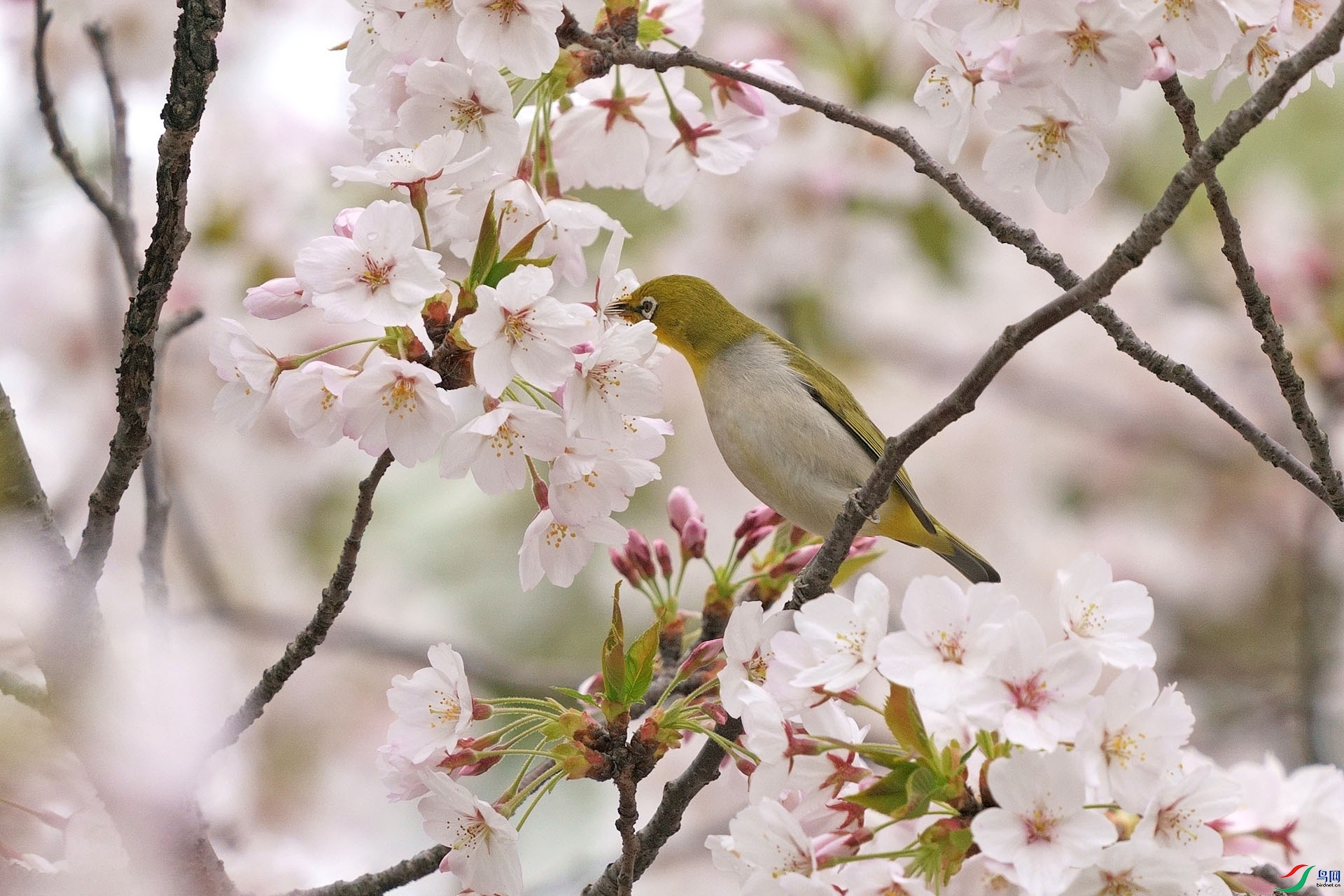 DSC08163.JPG