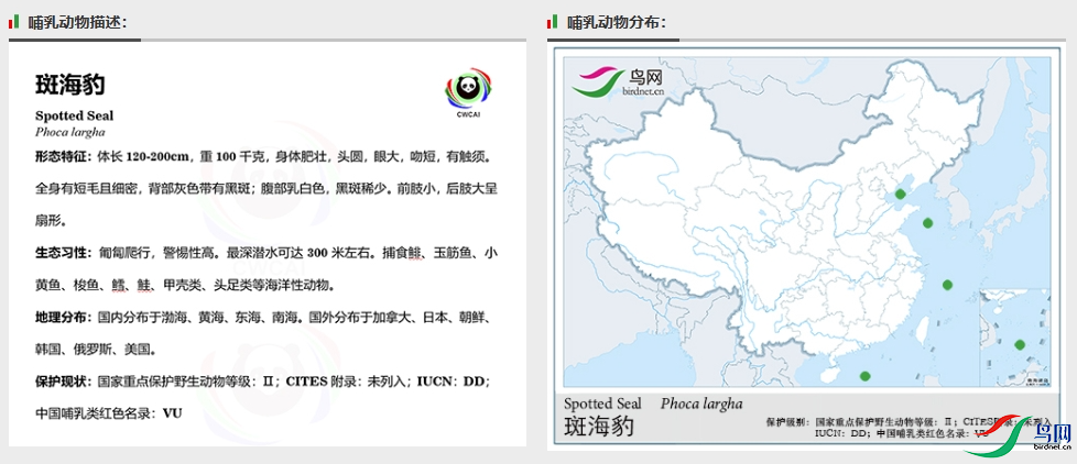 screenshot-1713099575284.png