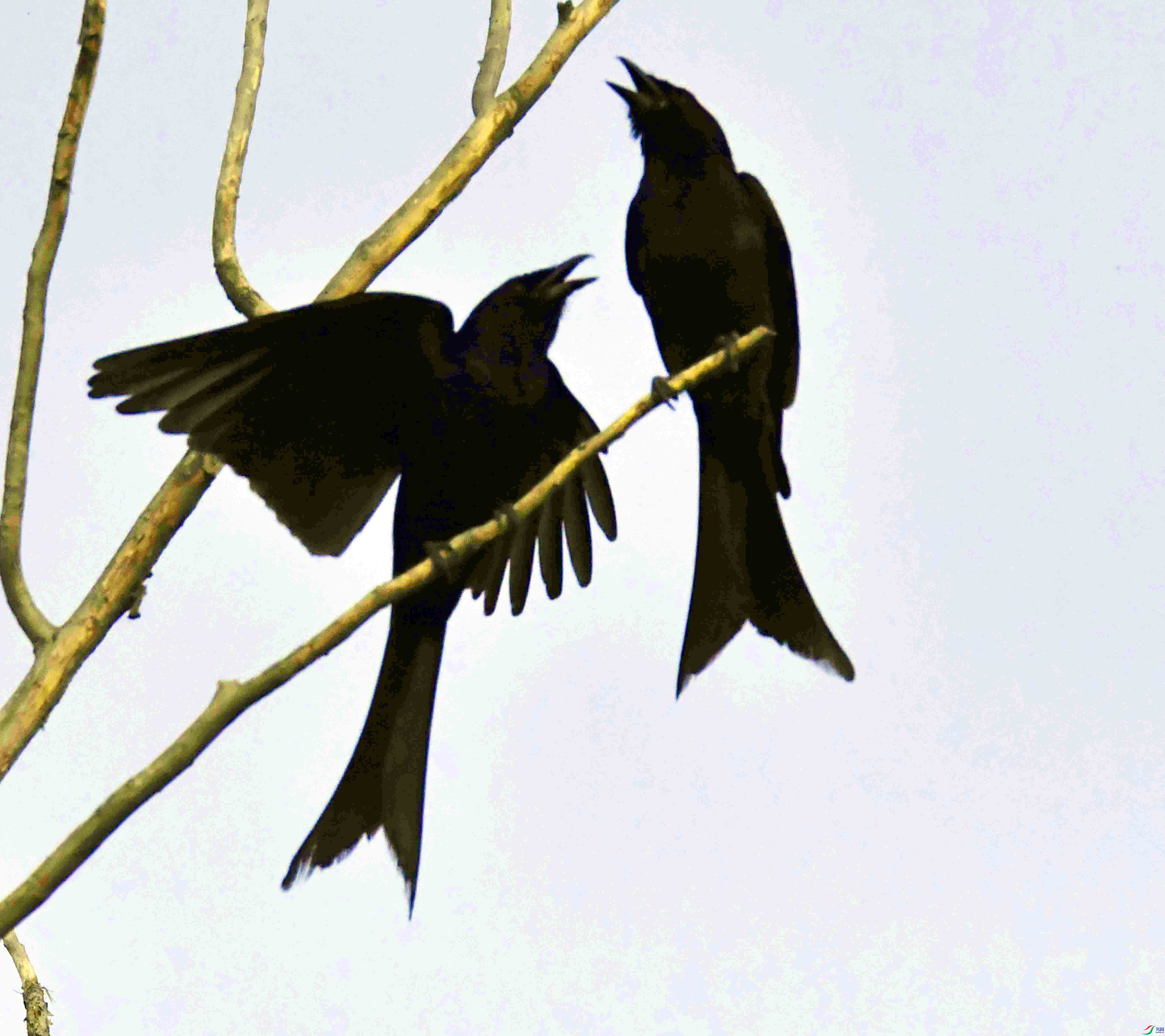 DSC_1367.JPG