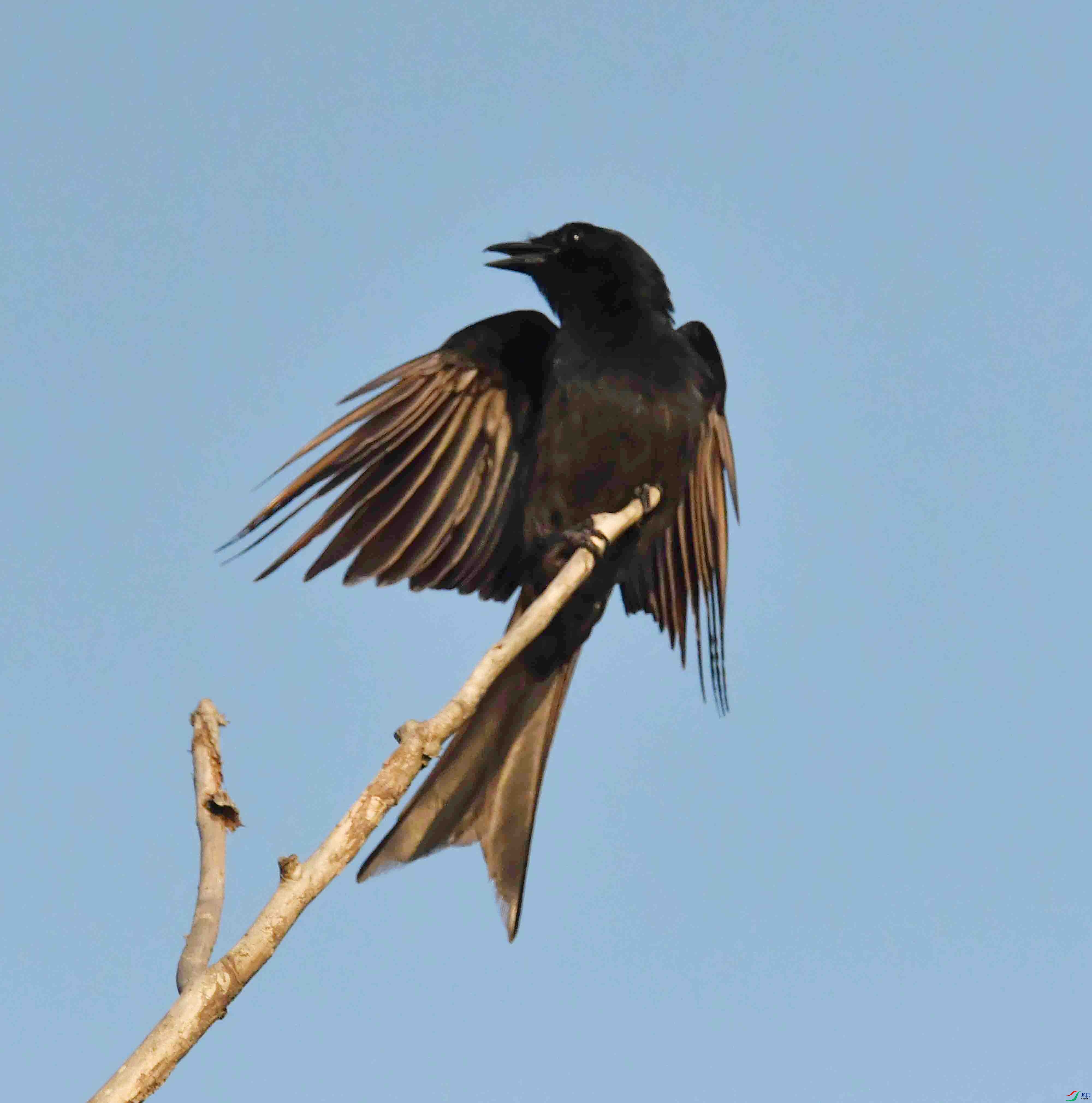 DSC_9714.JPG