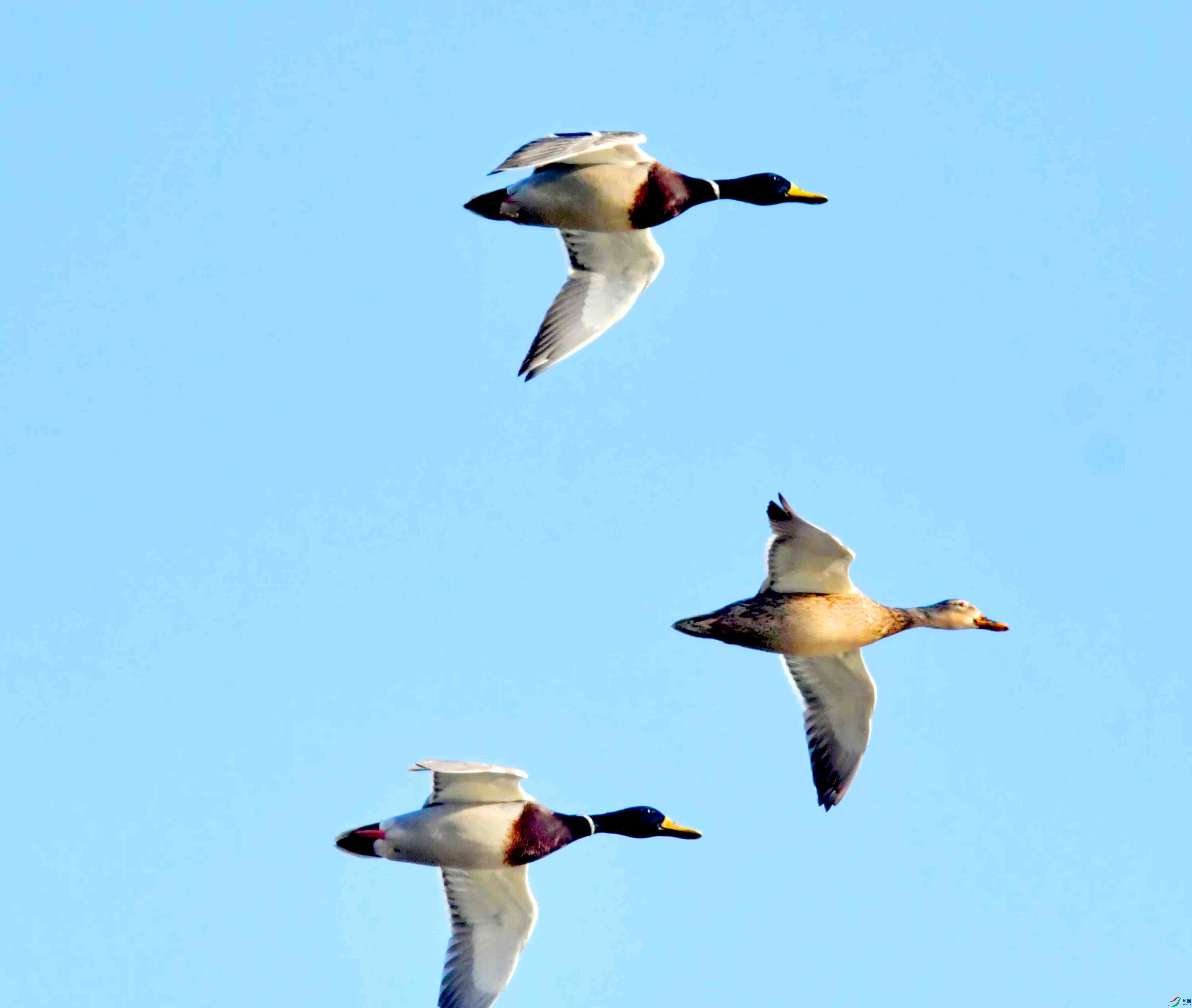 DSC_9958.JPG