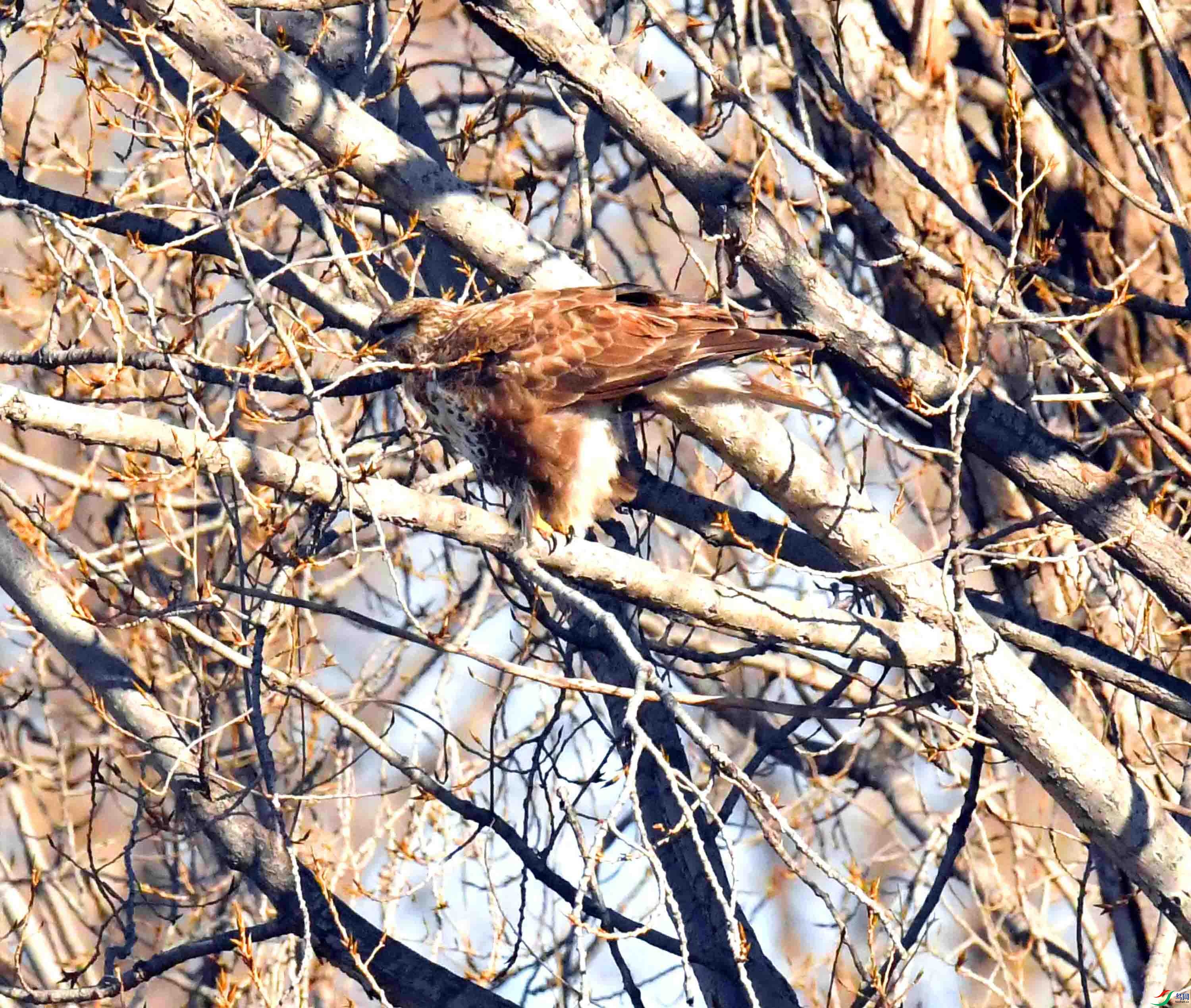 DSC_5833.JPG
