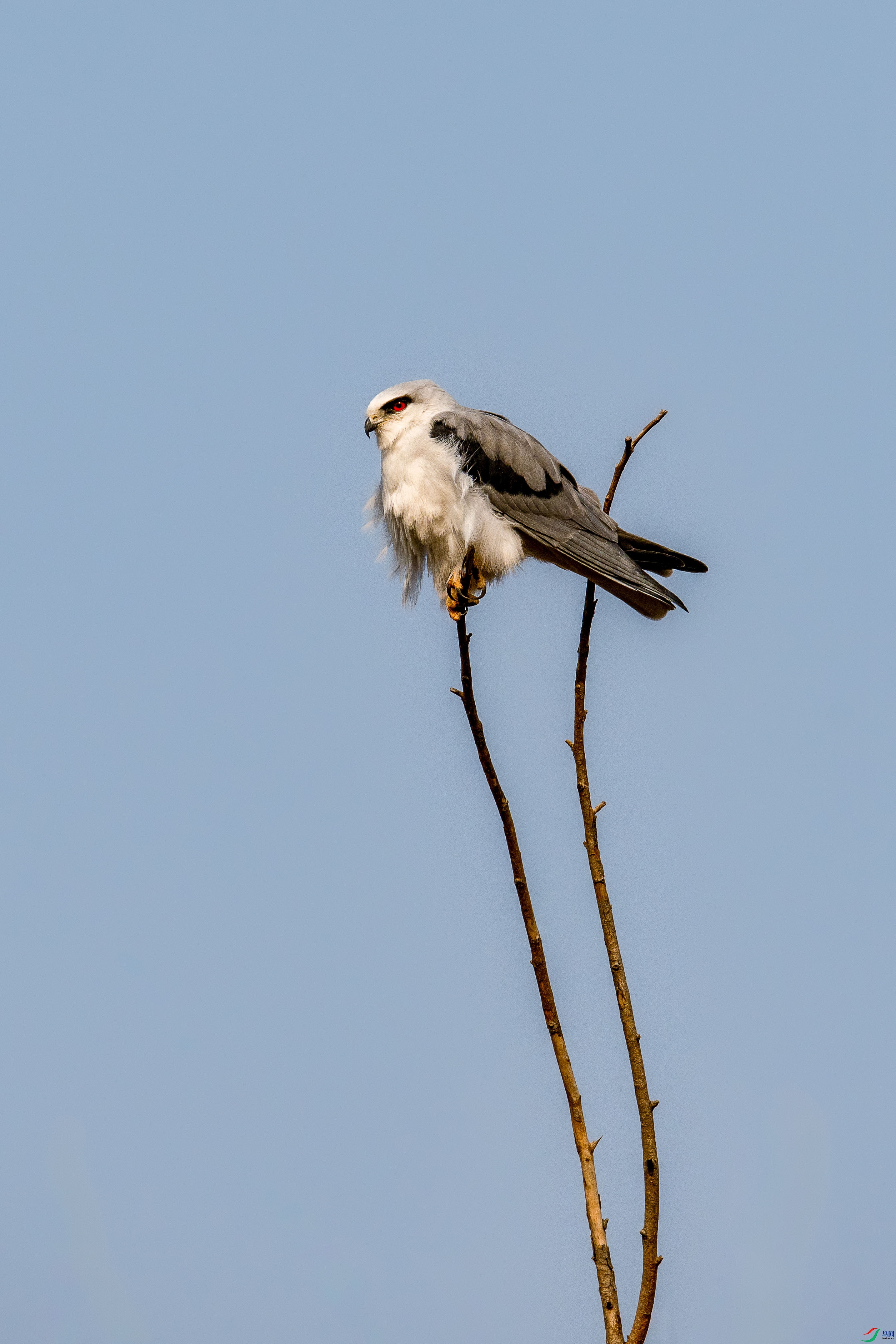 DSC_3614.jpg