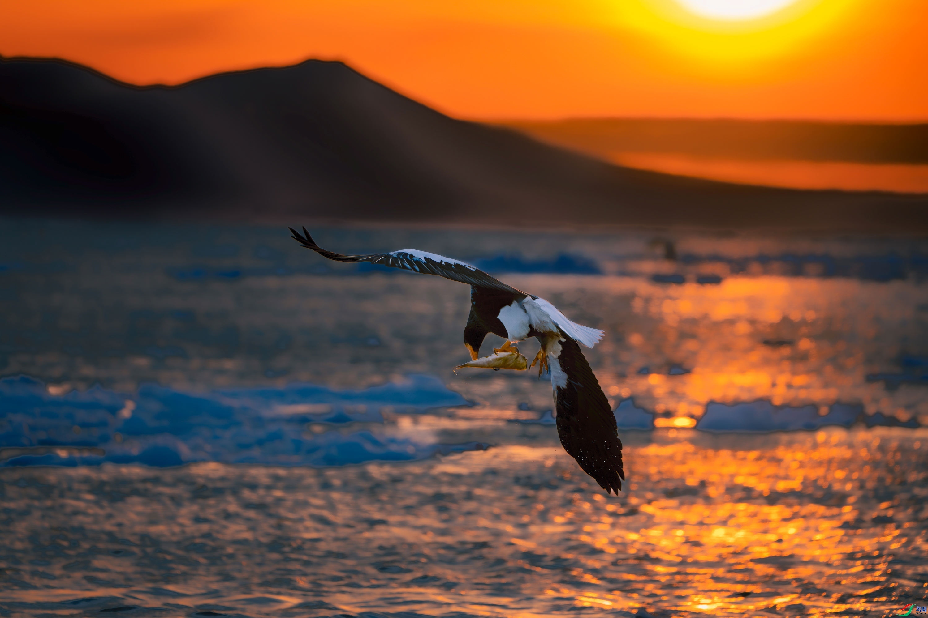 ���н�ʳ  ���� ��Ϳ�ֺ�Ϳ ��һ.jpeg