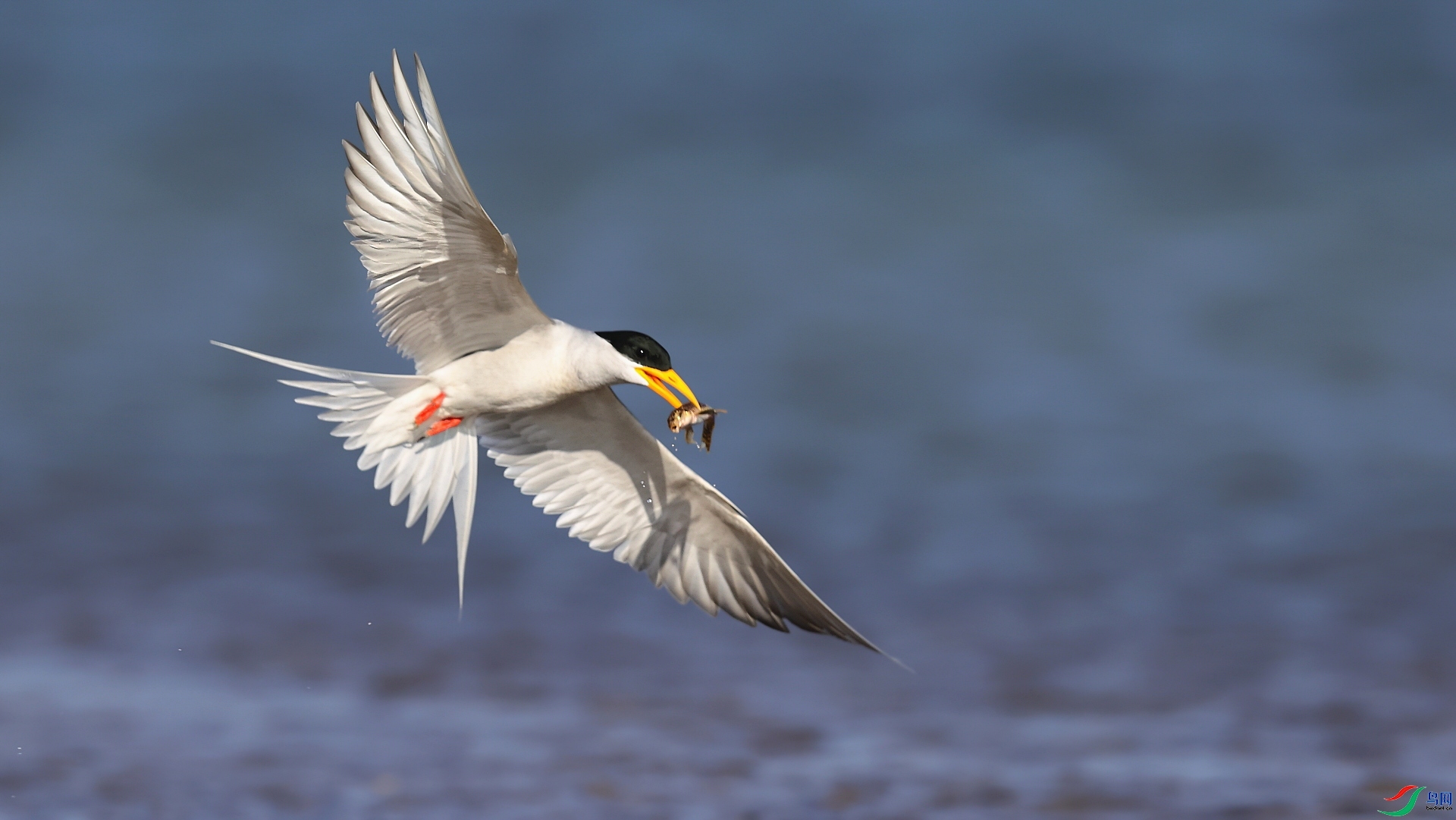 �������Ÿ  ���� ���� ����.jpg