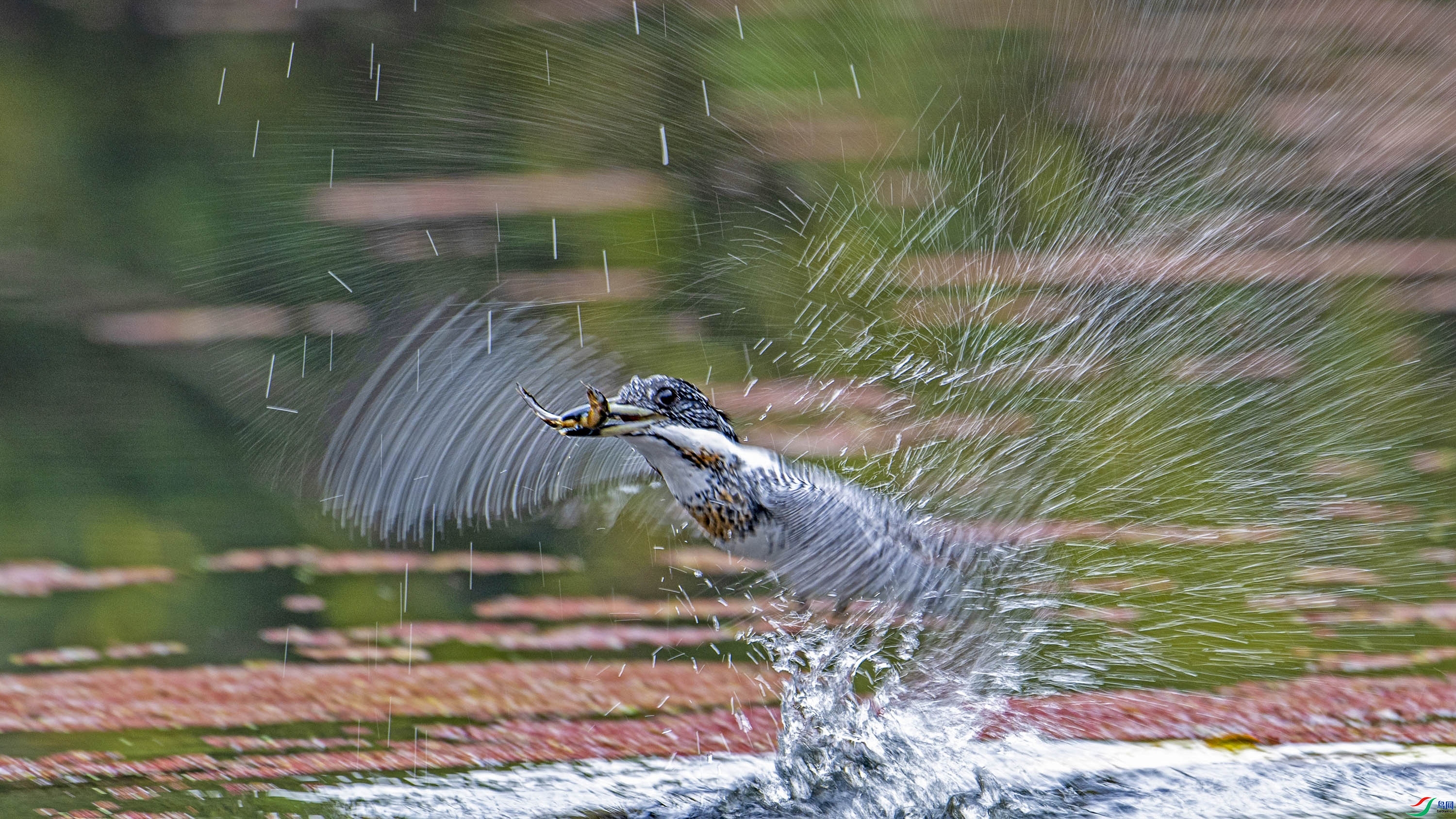 ���㹷 ���� wh�ϳ�  ����.jpg