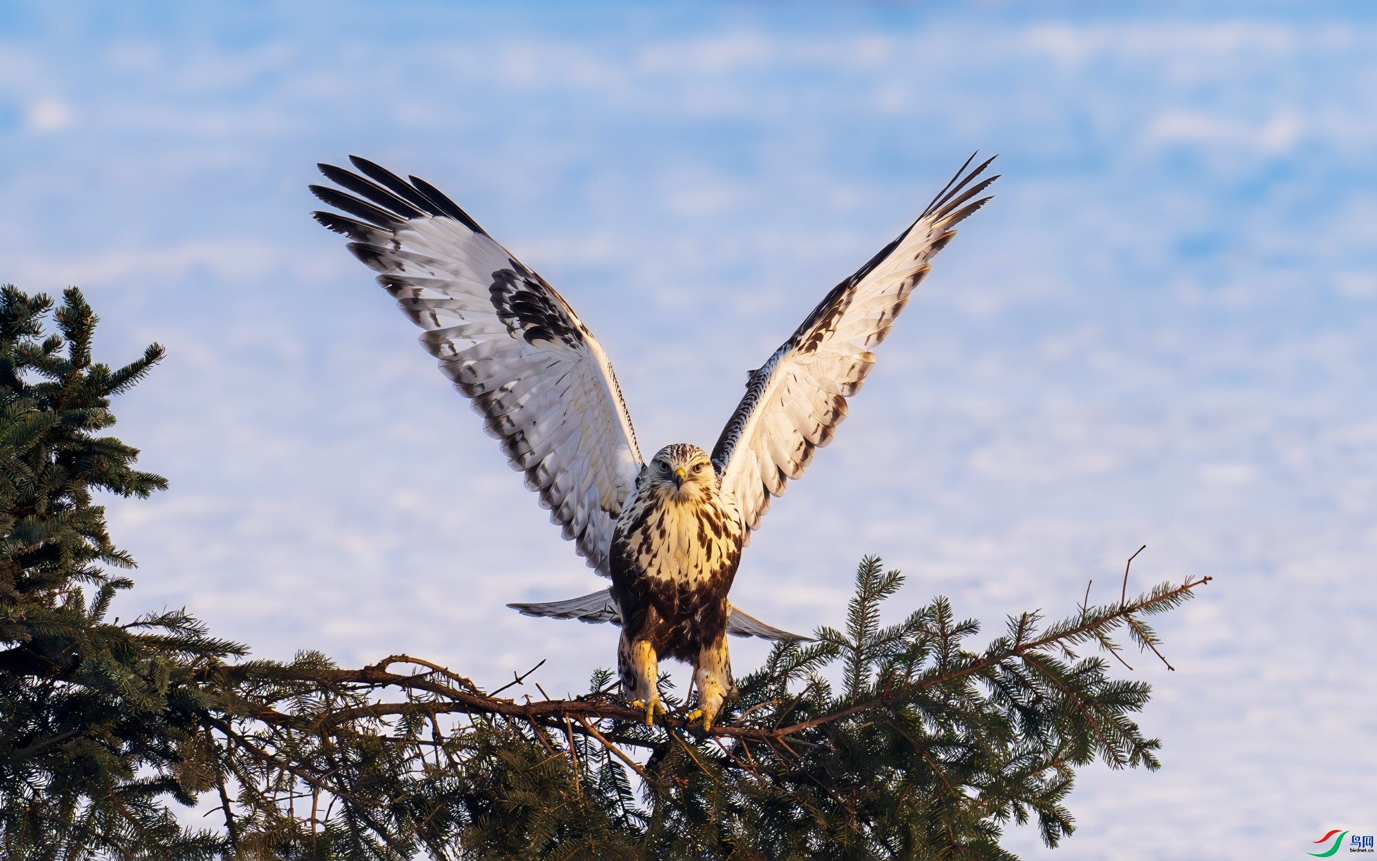 ë��