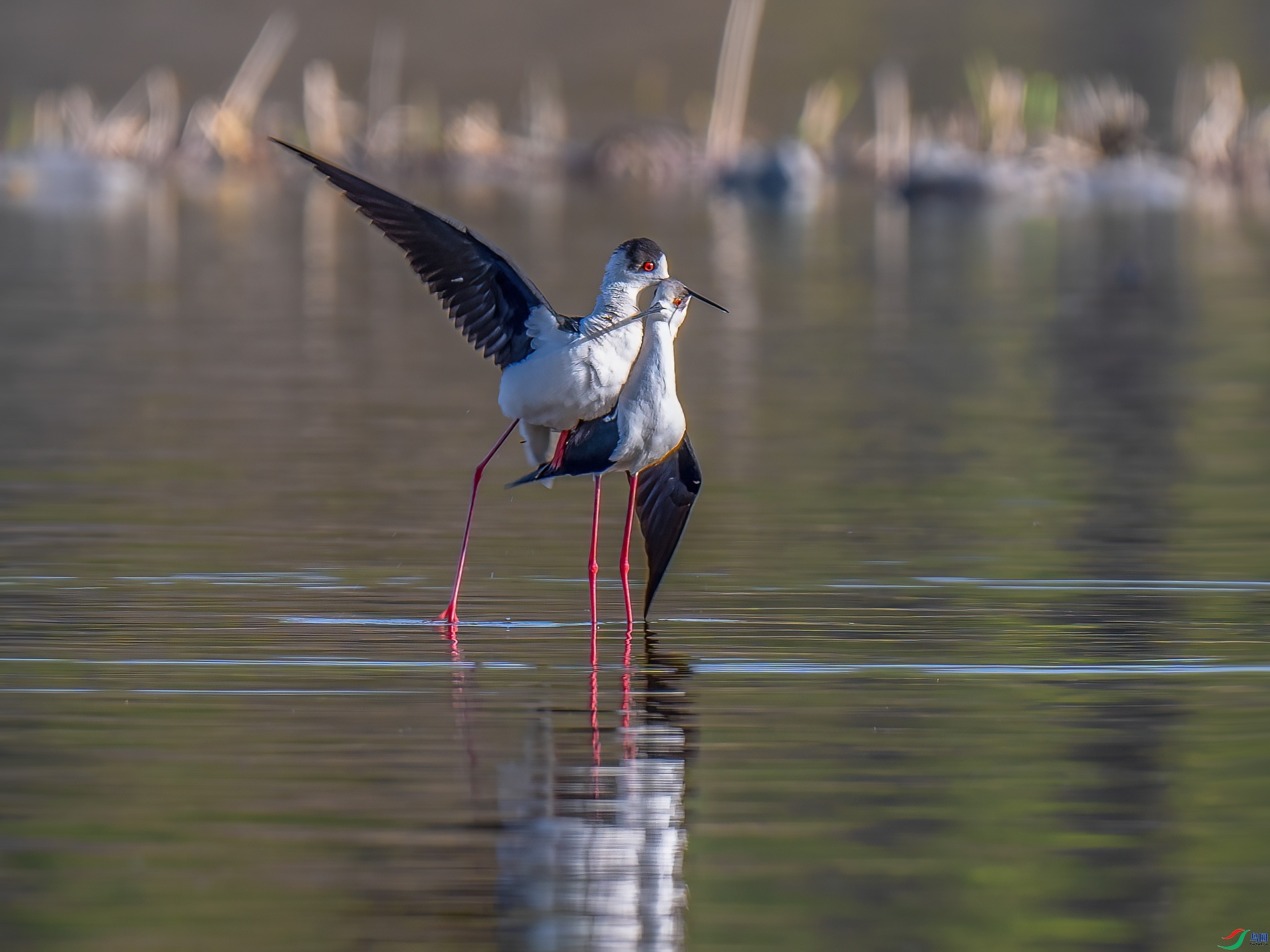 ������ ���� ��ѧ�� ����.jpg