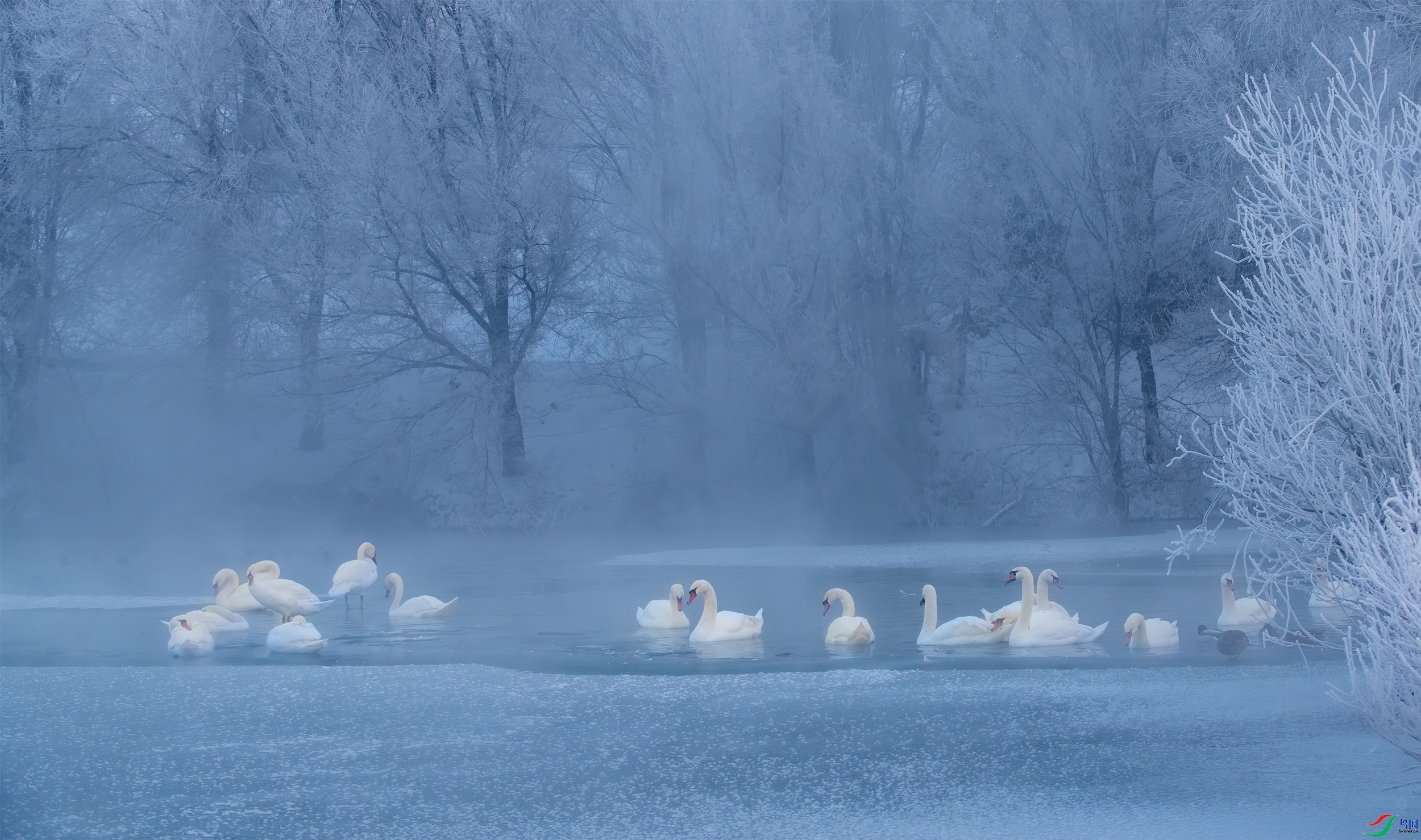 ��ڡ֮��  ���� ��Ͽ֮�� ����.jpg