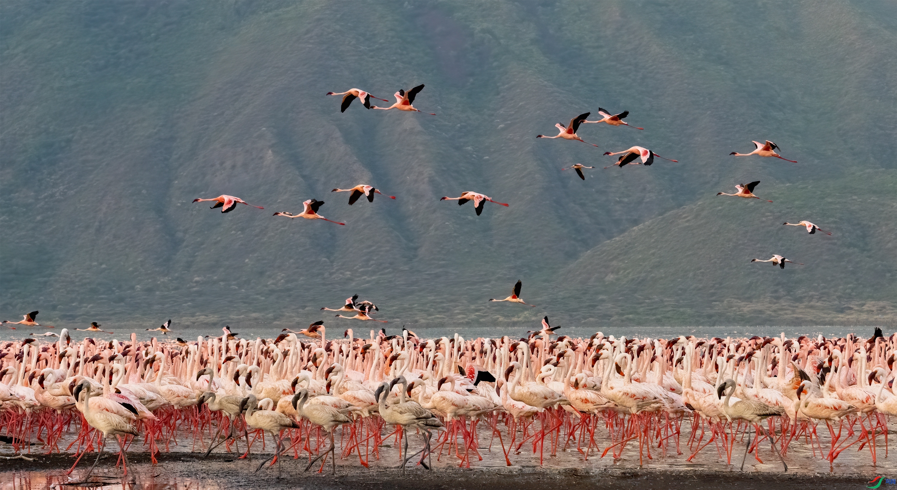 ����  ���� ��Ͽ֮�� ����.jpg