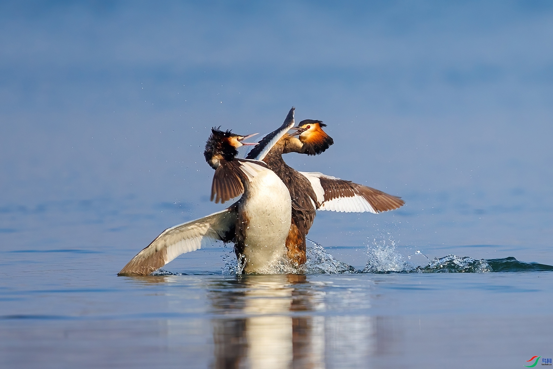 ���� ���� ���¹�Ӱ  ����.jpg