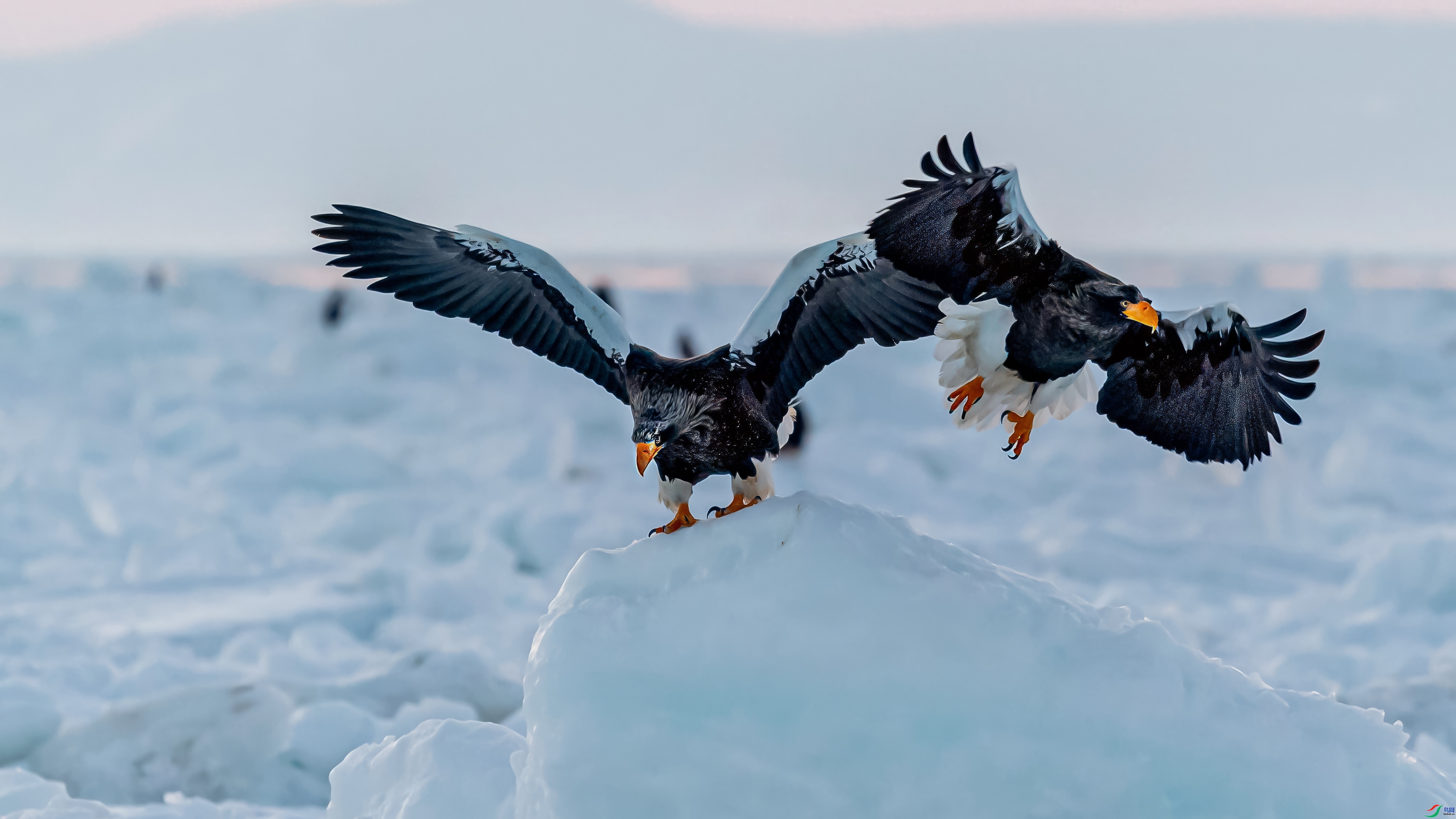 ��ռ�Ƹߵ�  ���� СС�ո� ����.jpeg