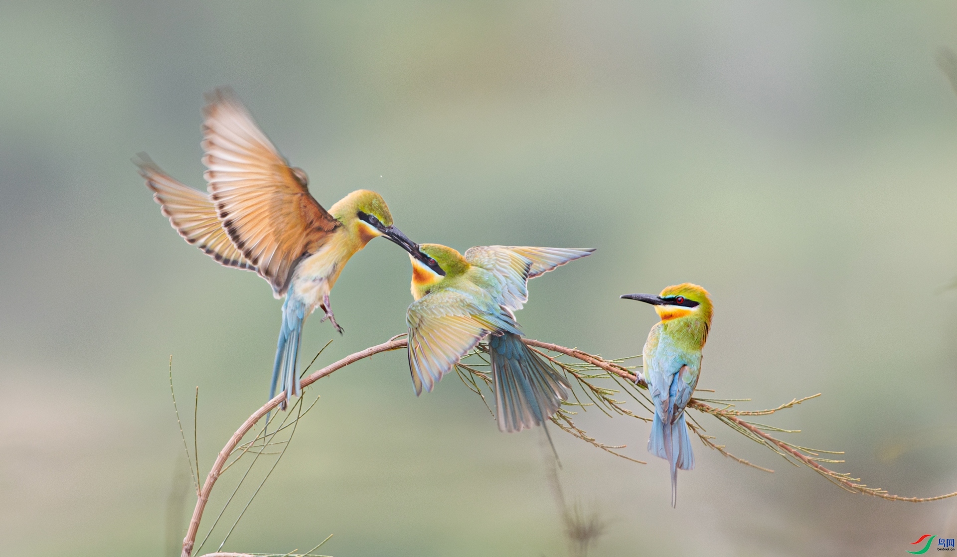 �۶� ���� ���� ����.jpg