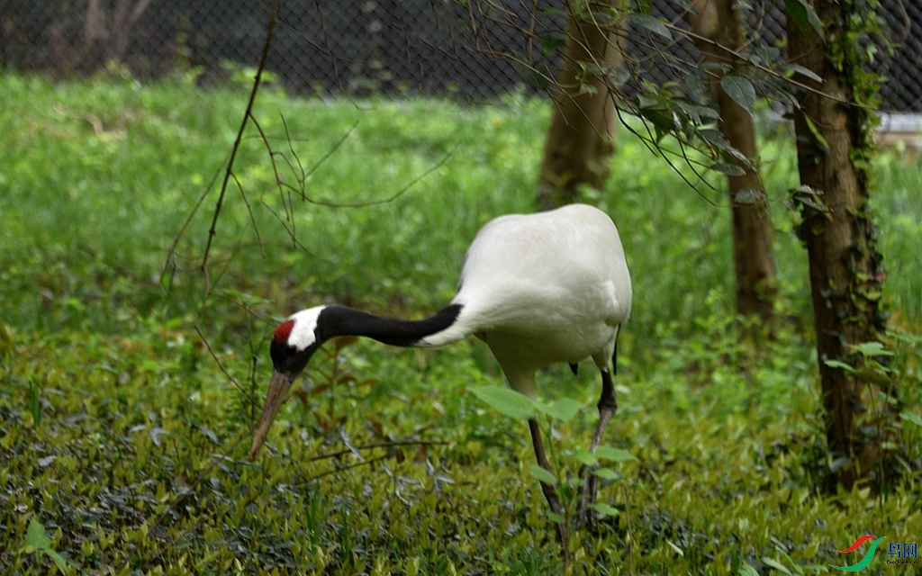 813 (69)_����.jpg