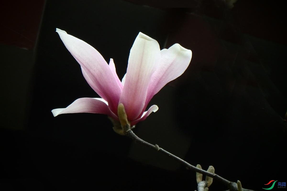 IMG_2493.jpg