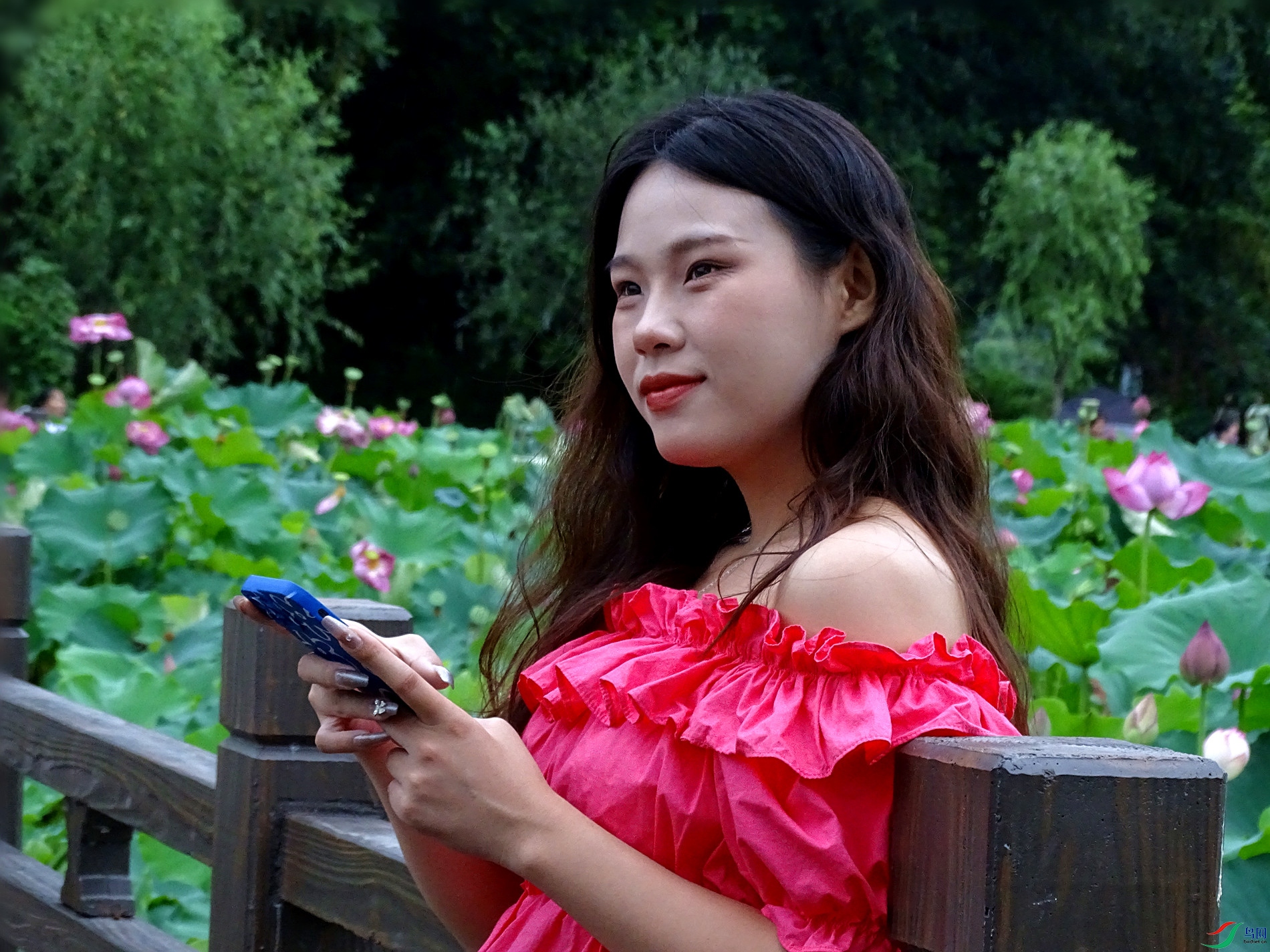 DSC06015_����.jpg