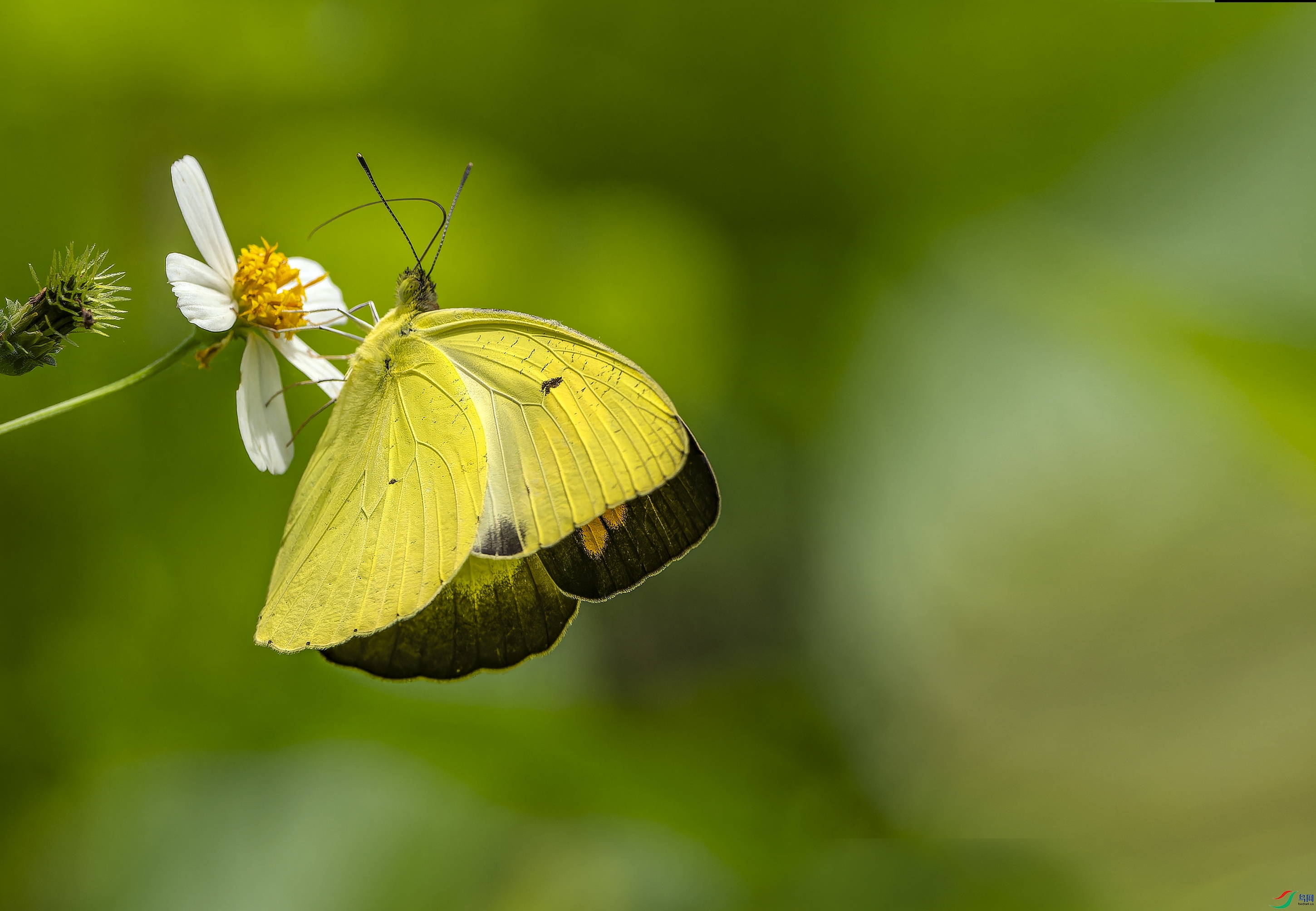 �ȷ۵� (64)-1.jpg