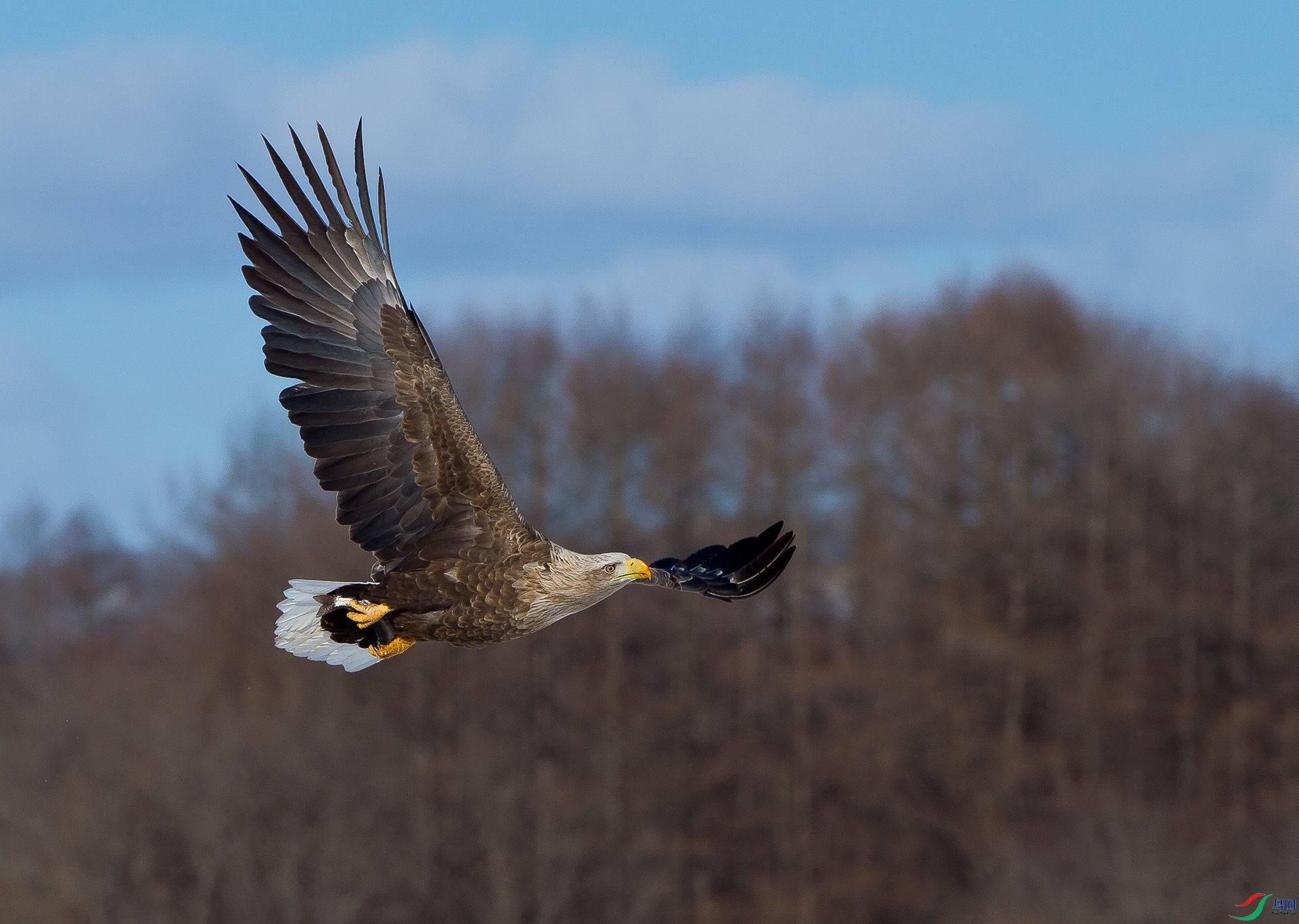 ��DSC_0155.jpg