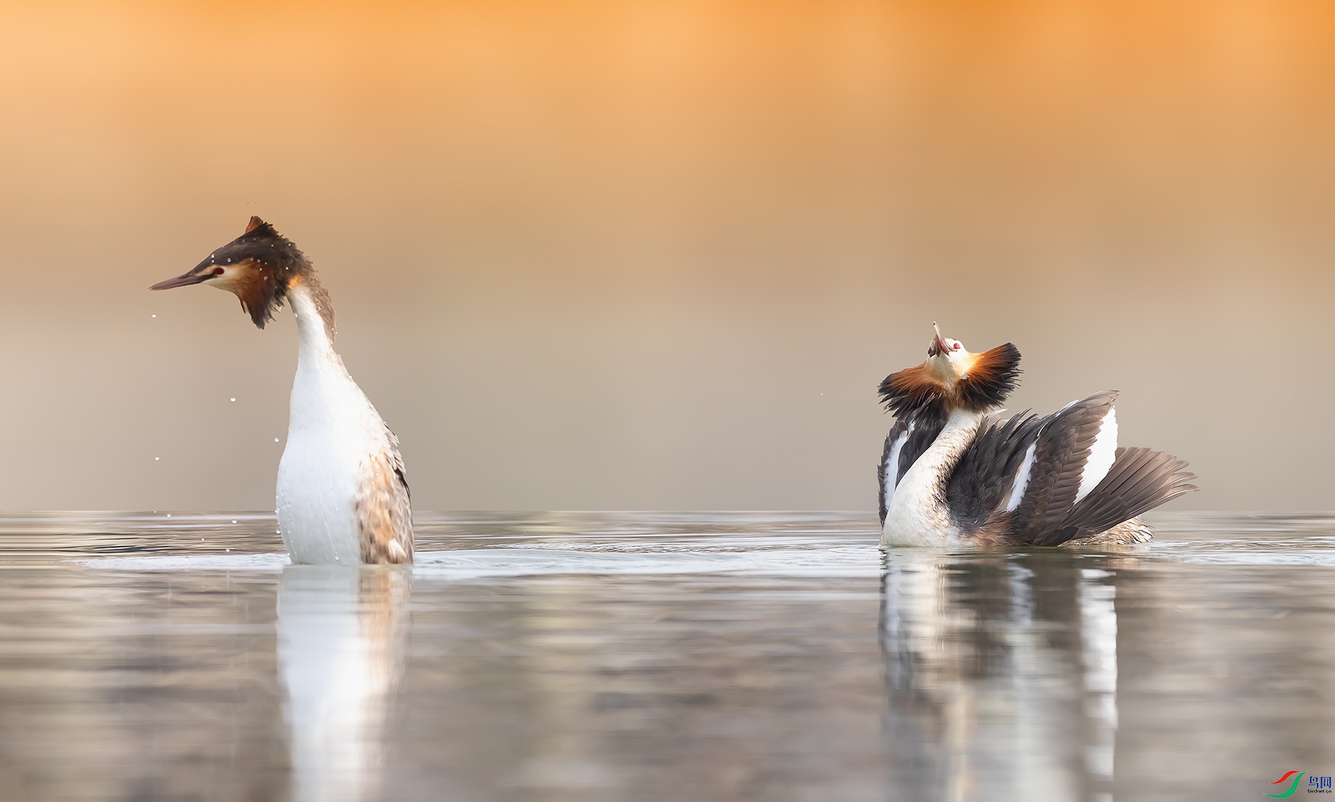 019A2734 ����.jpg