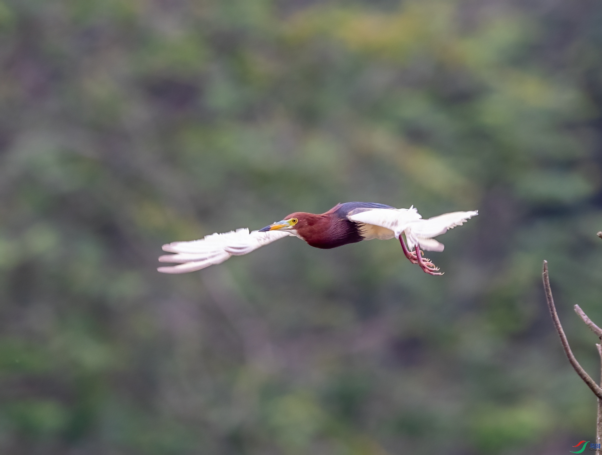 DSC_2705.jpg