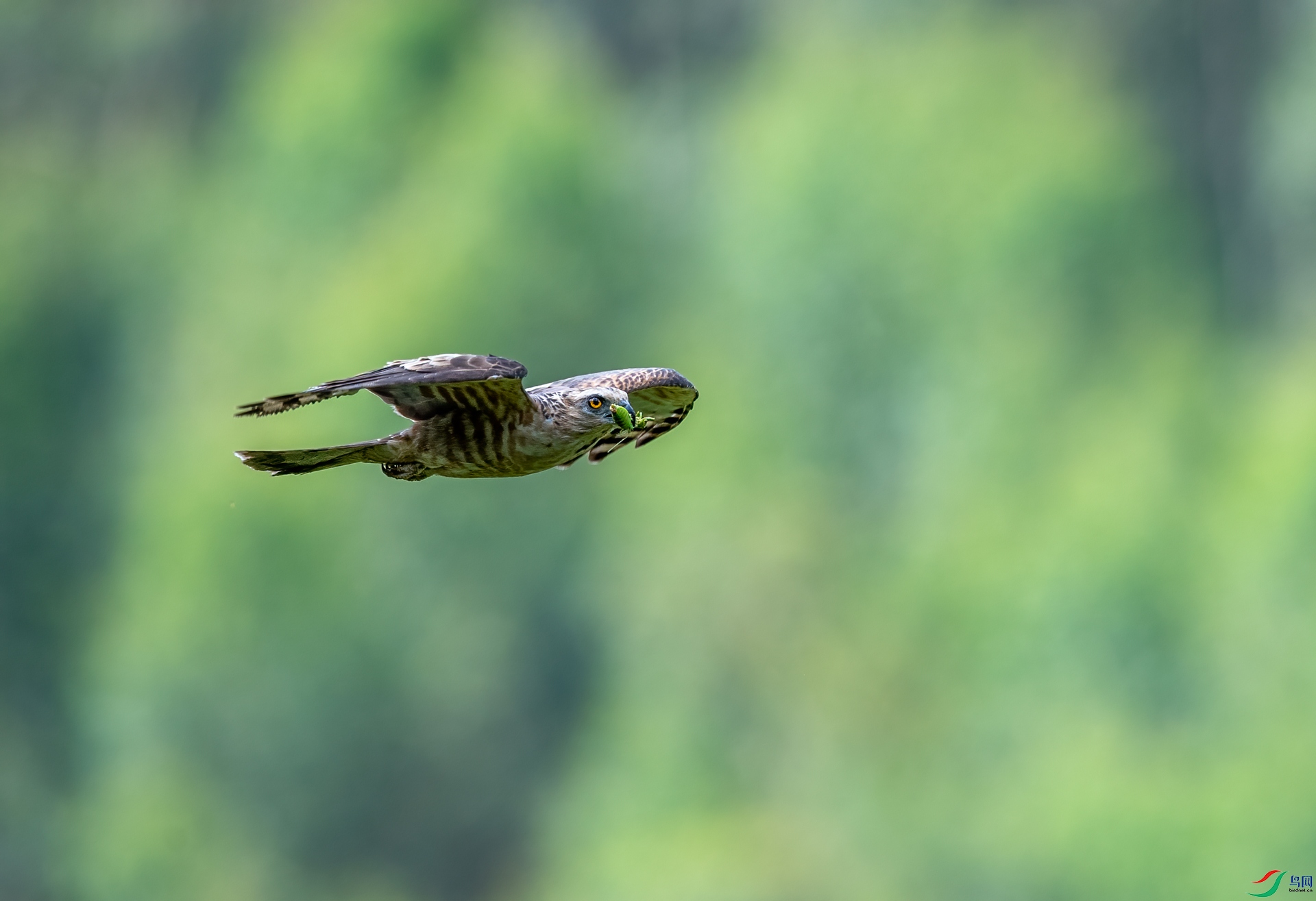 DSC_3206.jpg