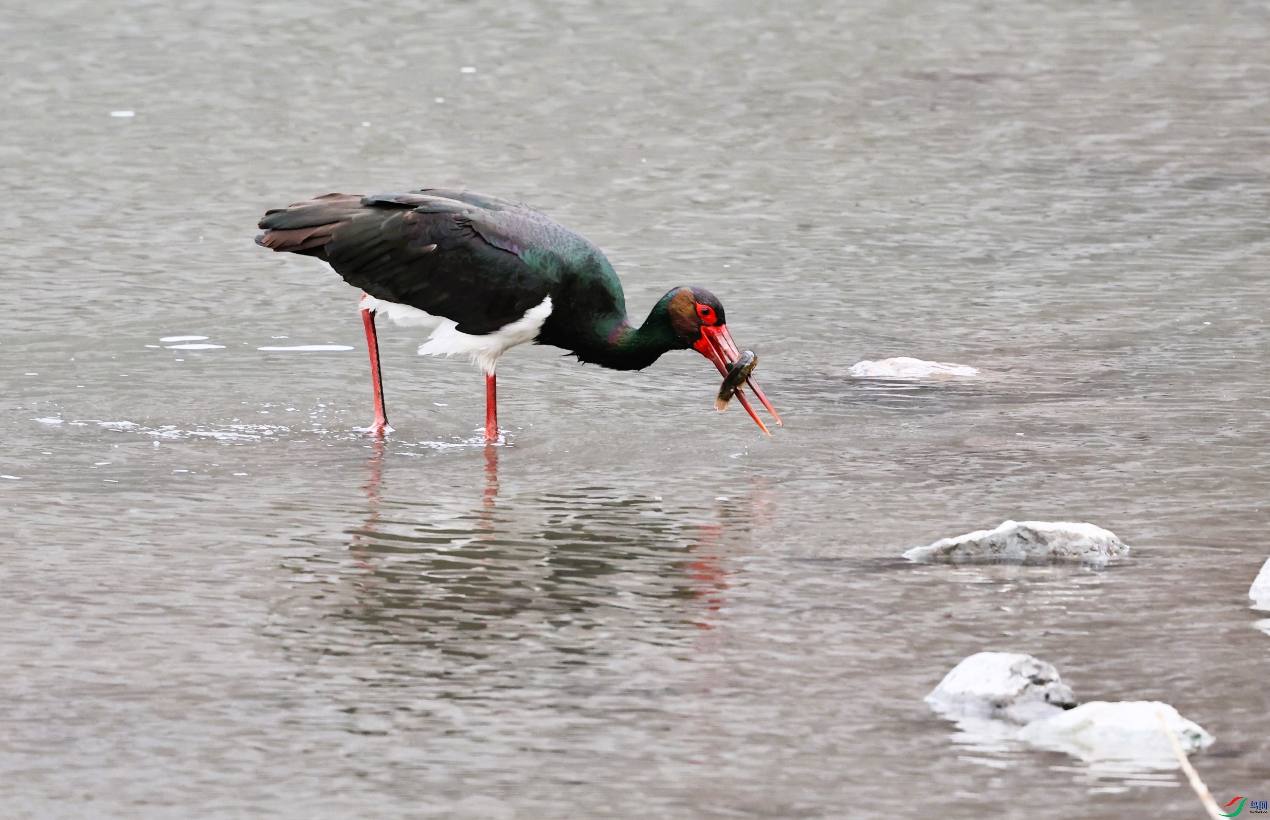 ���� (328).JPG