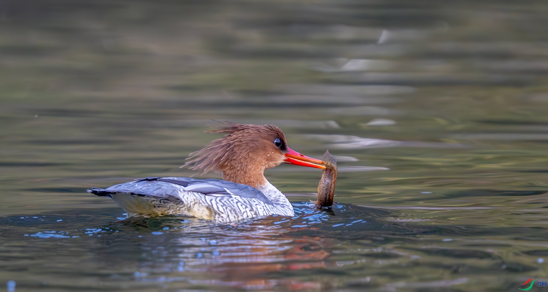 DSC_6882.jpg