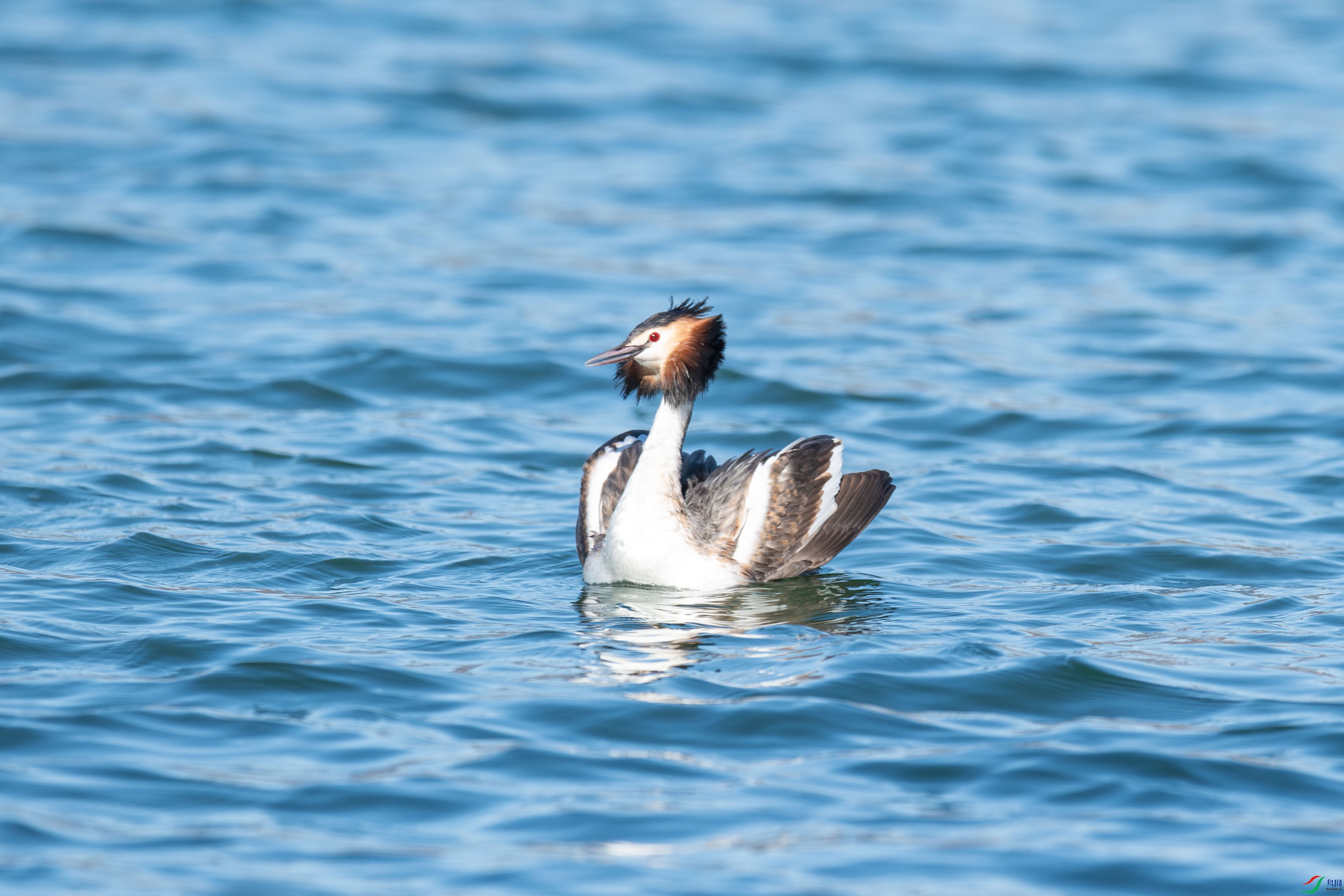 DSC_1391.jpg