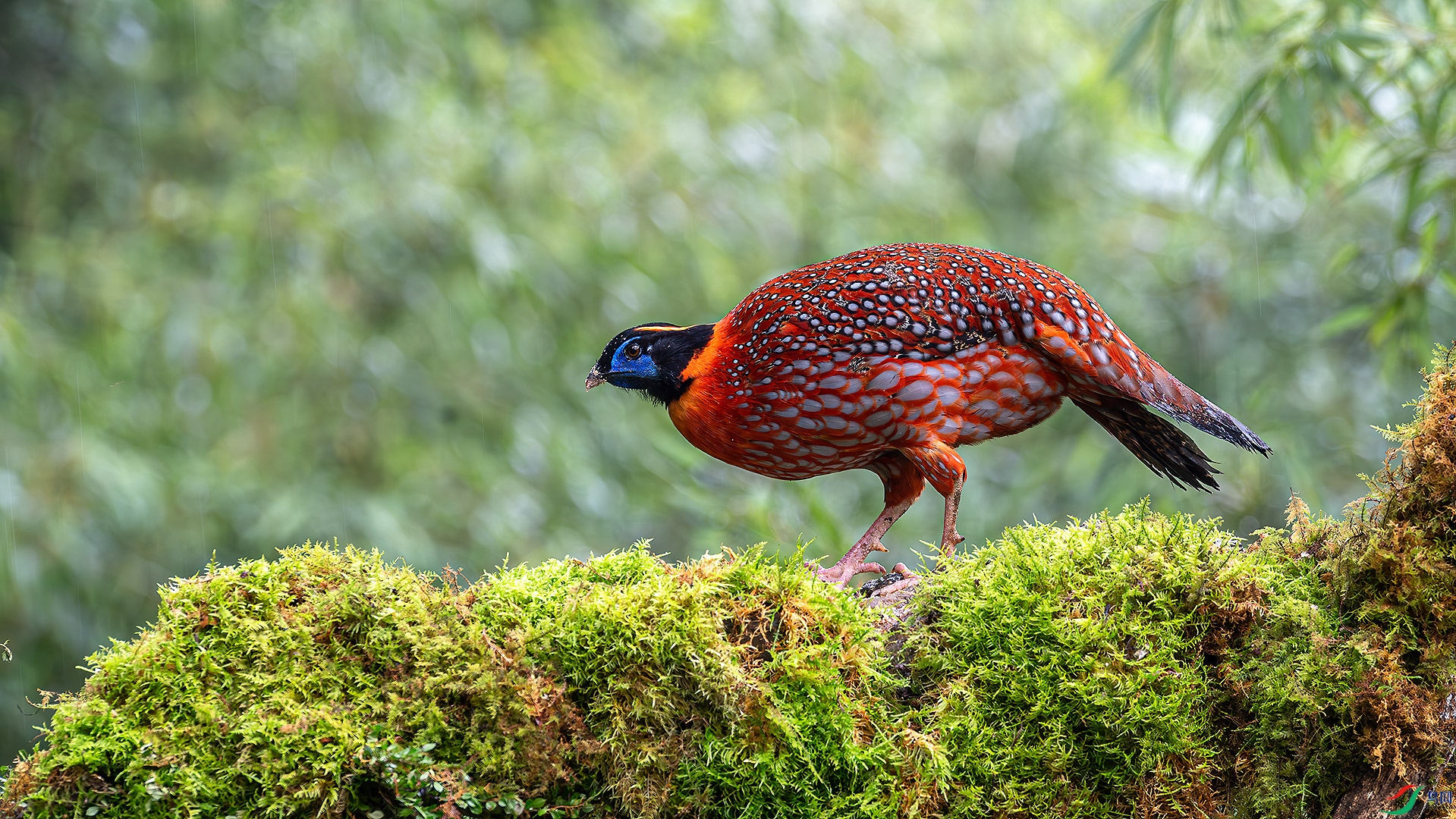 _DSC3901.jpg