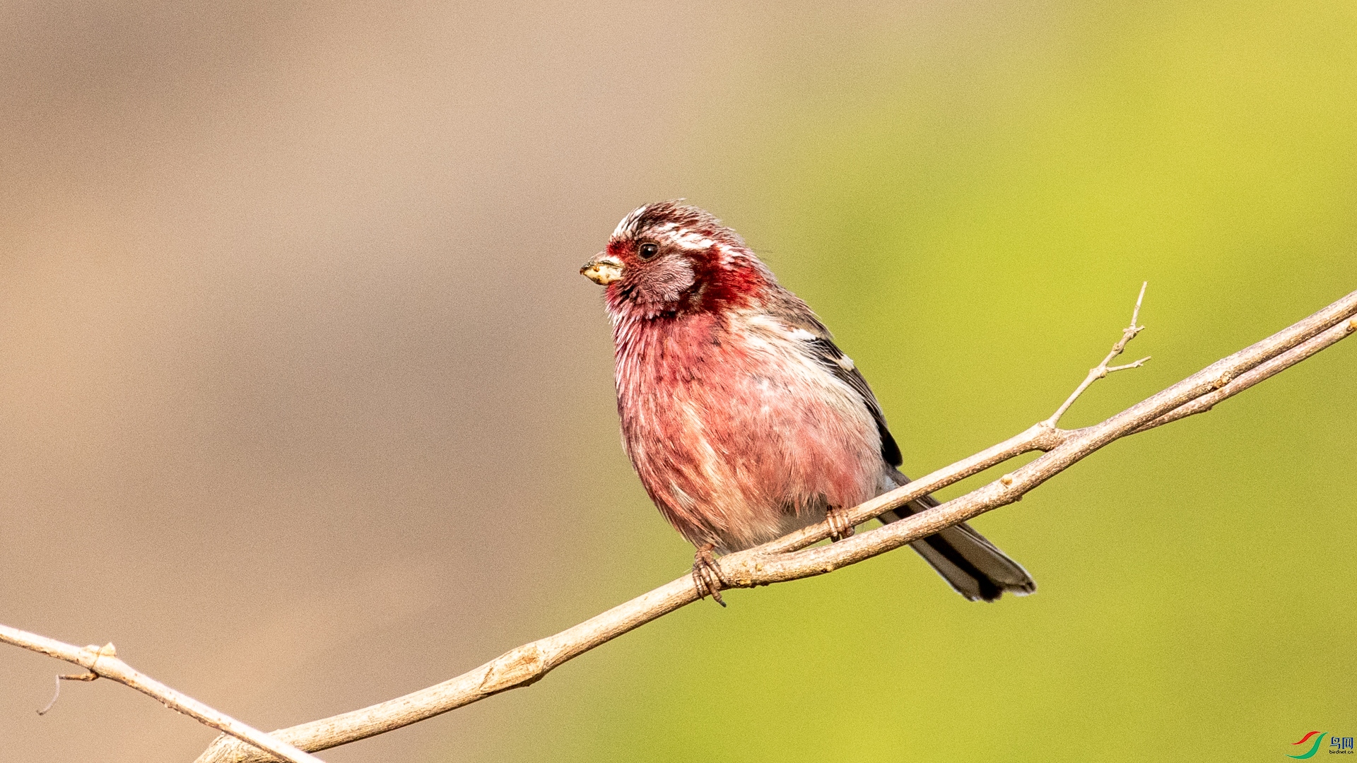 DSC_7168.jpg