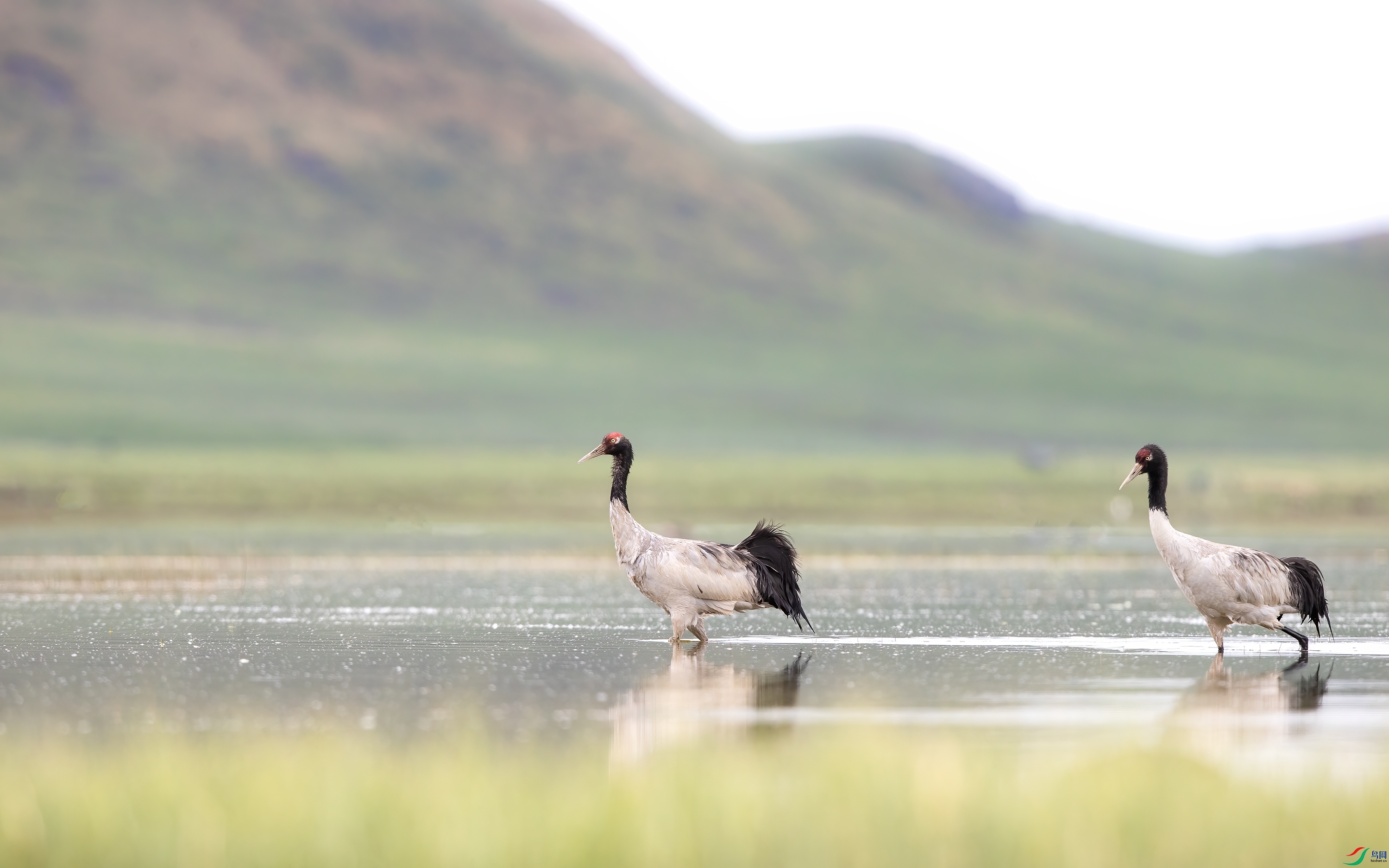 A15I3808 ����.jpg