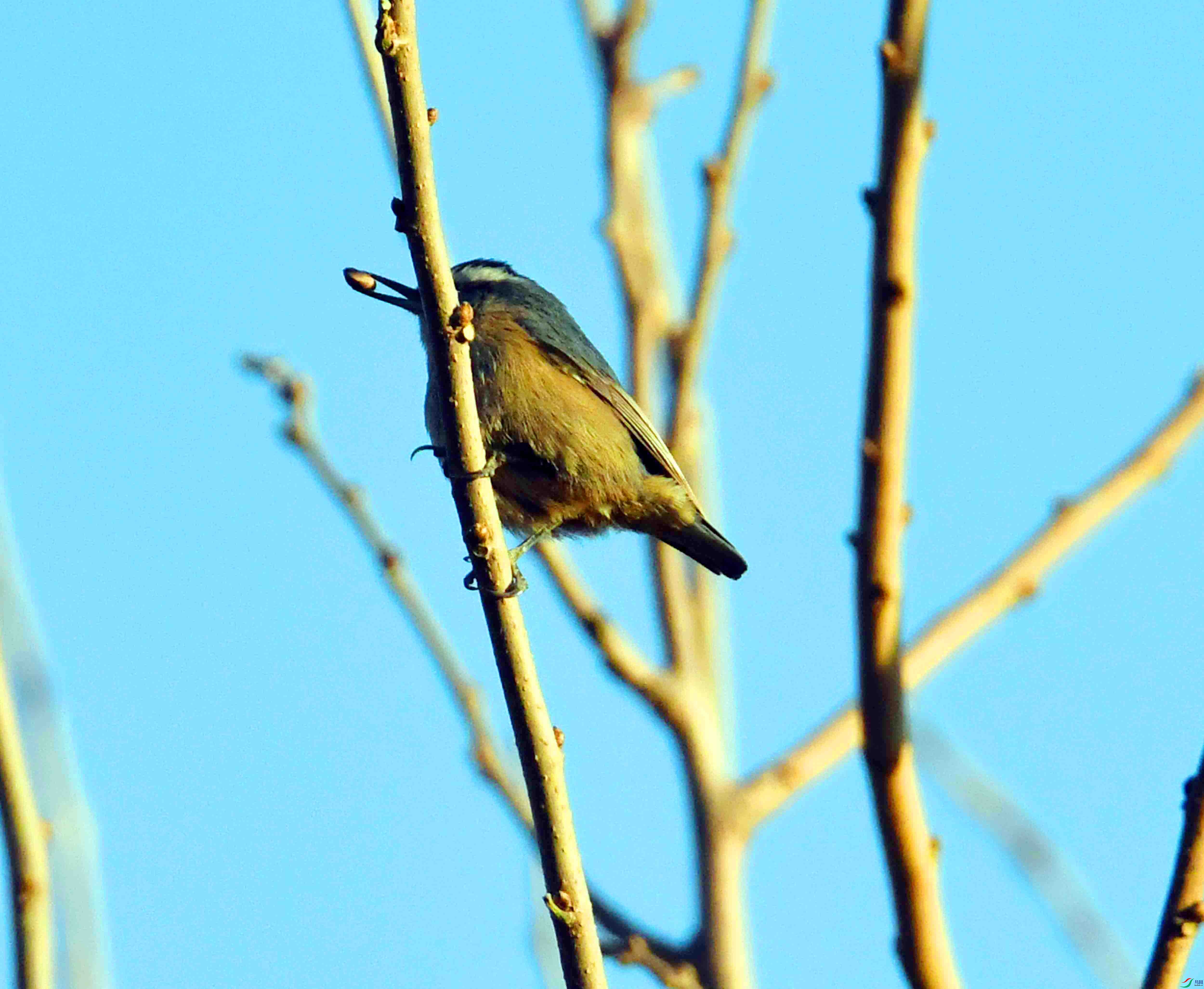 DSC_2086.JPG