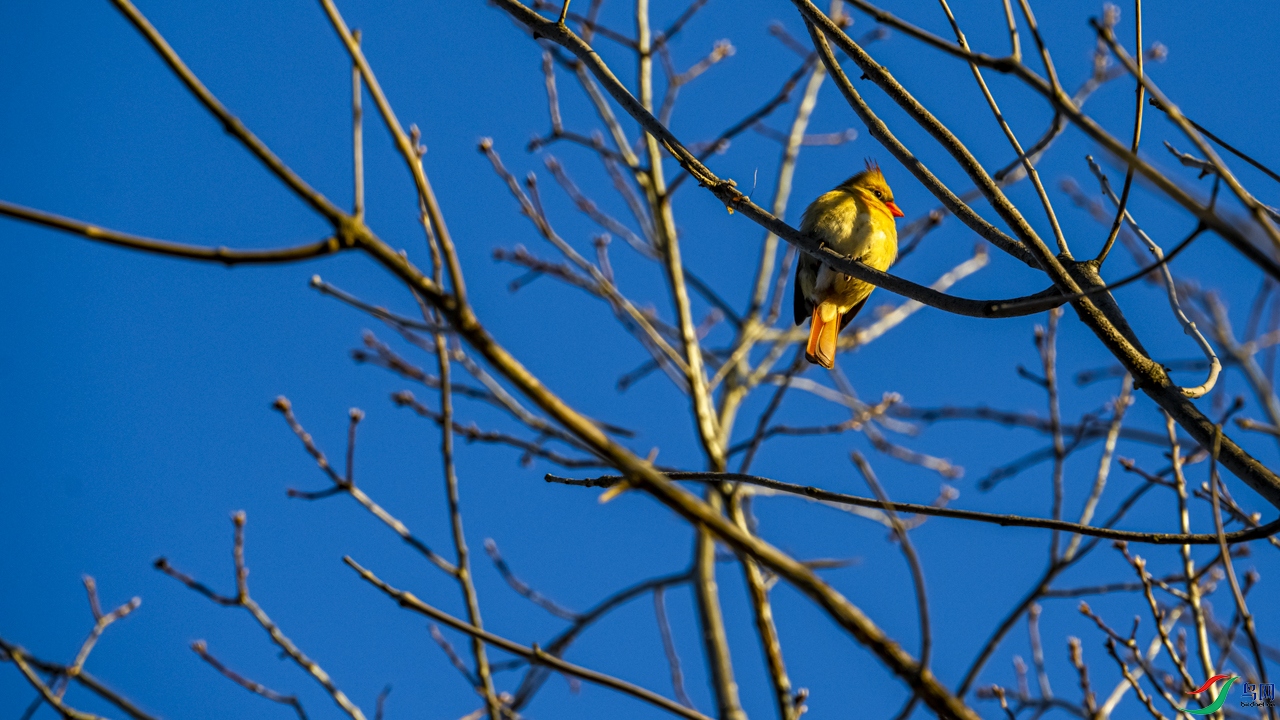DSC_4834-1.jpg