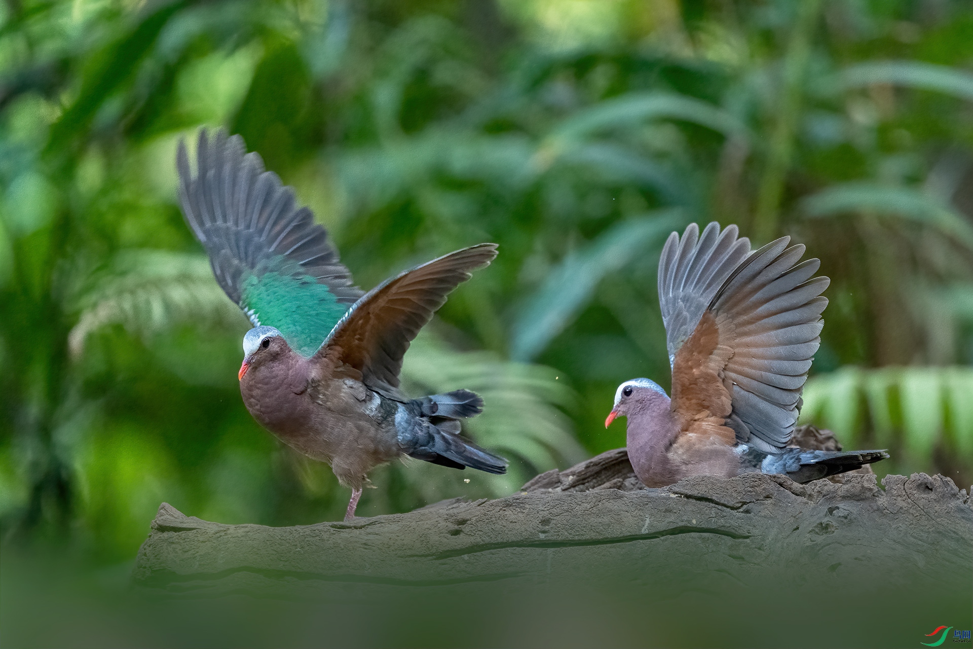 _DSC5110 ����.jpg