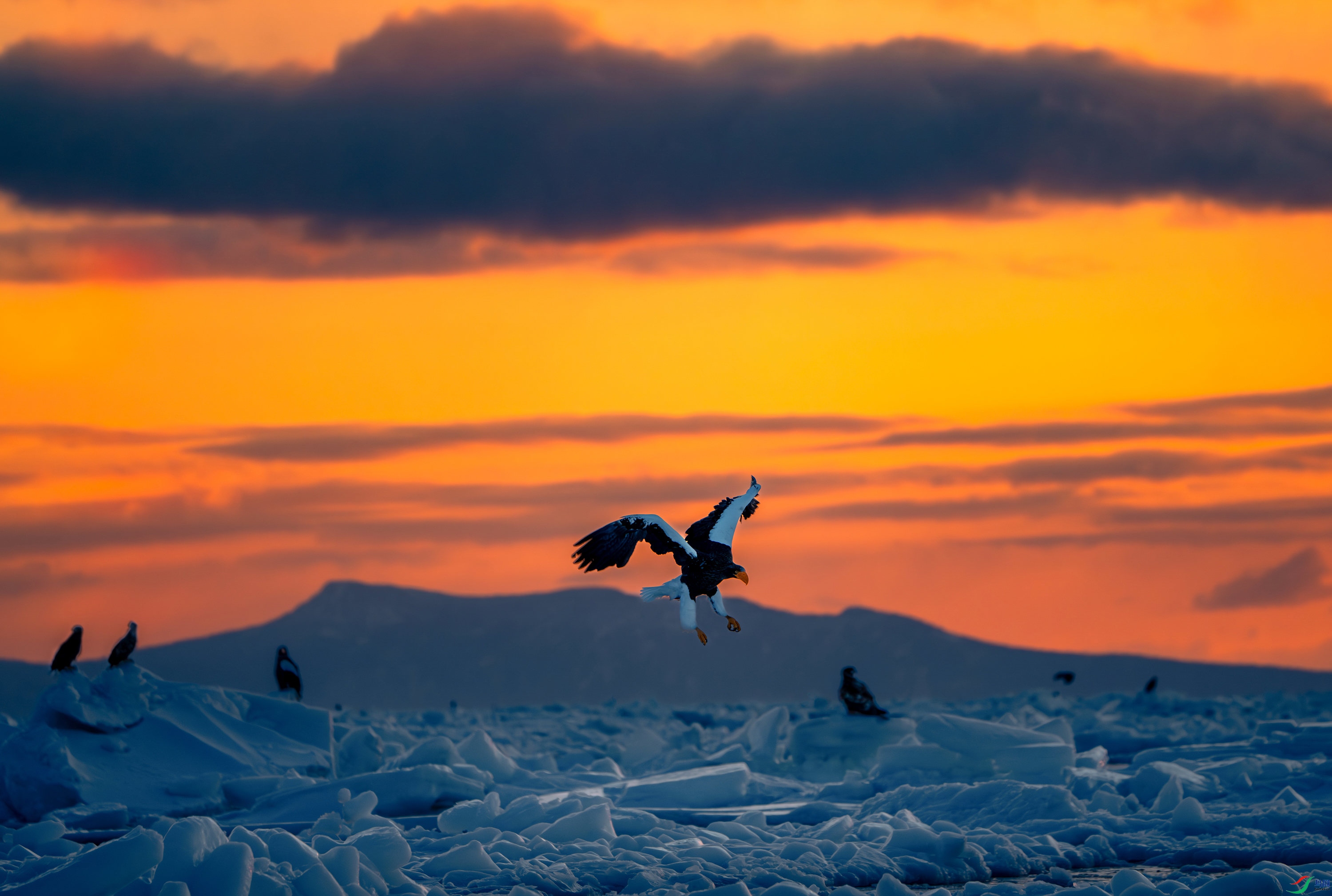 _DSC4995-����ǿ-NR_122610_polarr.jpeg