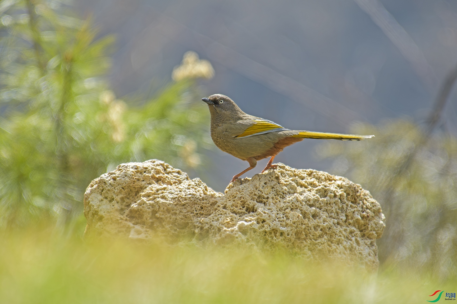DSC_6171 0.jpg