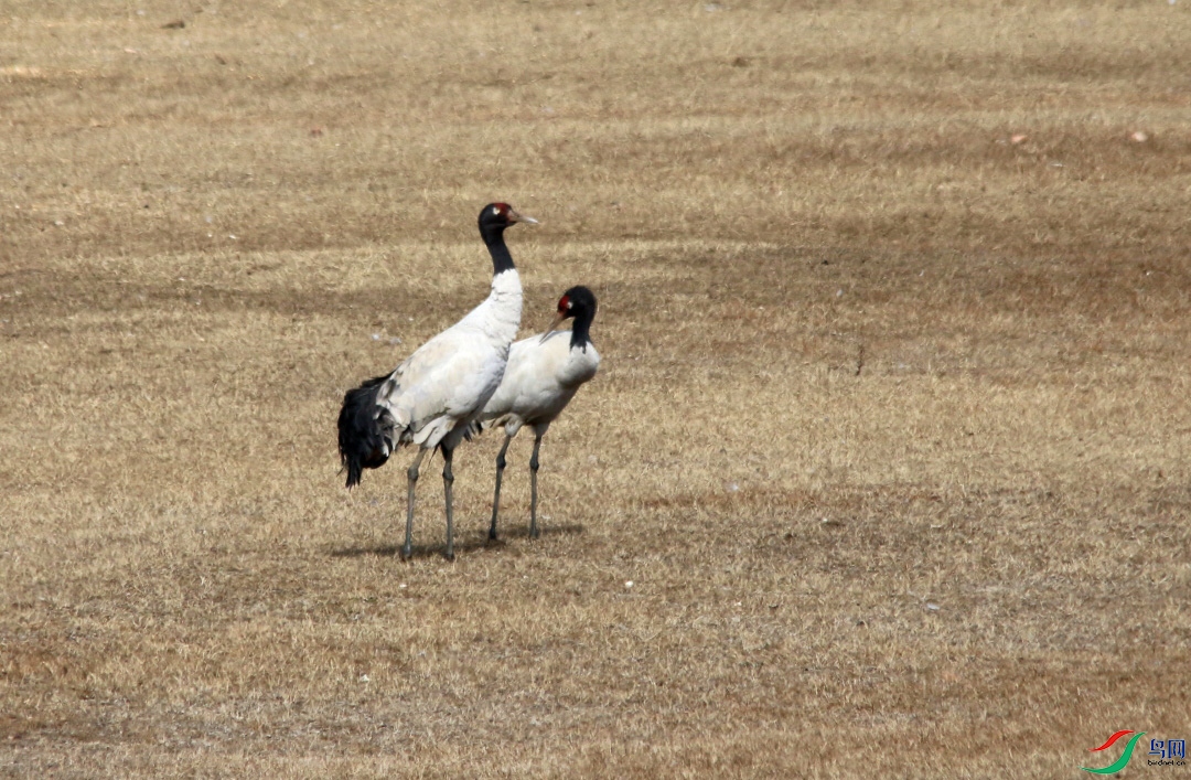 IMG_0180a.JPG