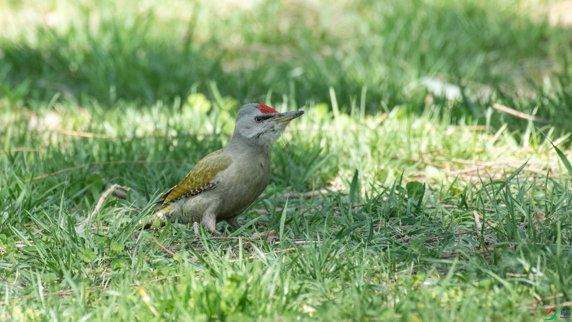 DSC_8609.jpg