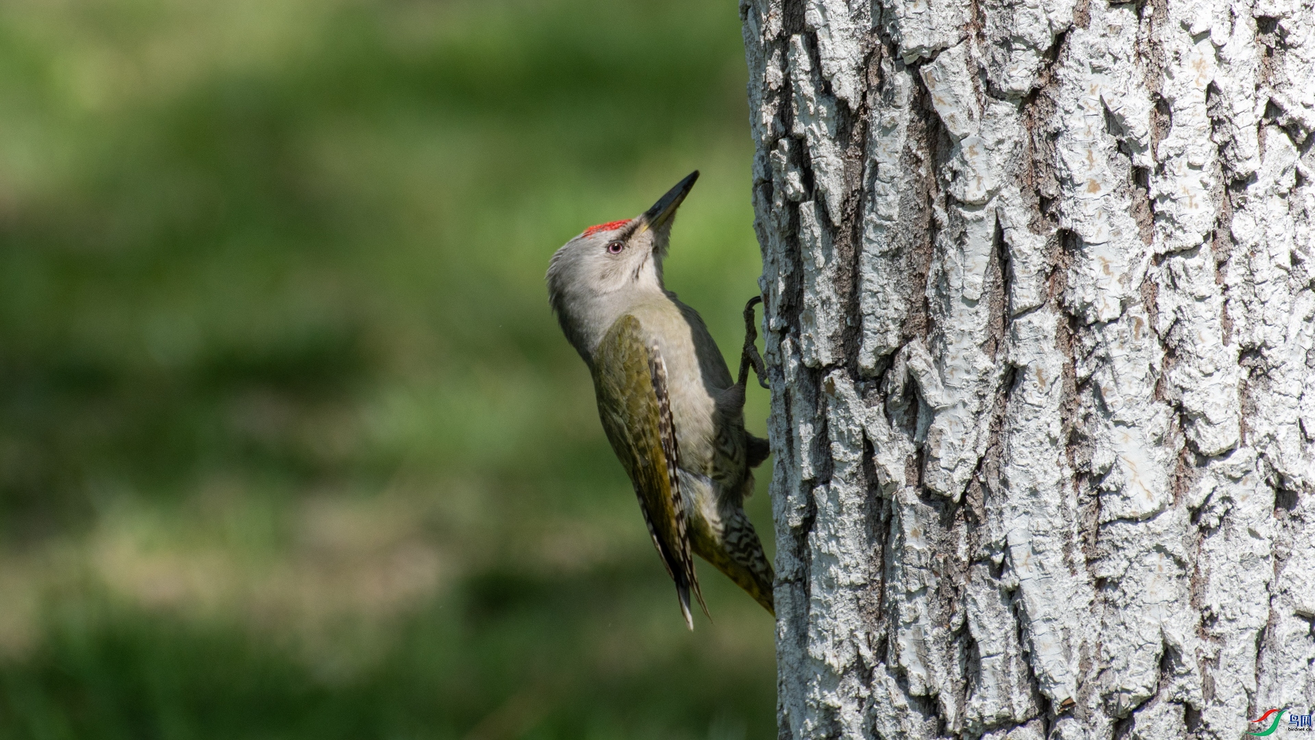 DSC_8630.jpg