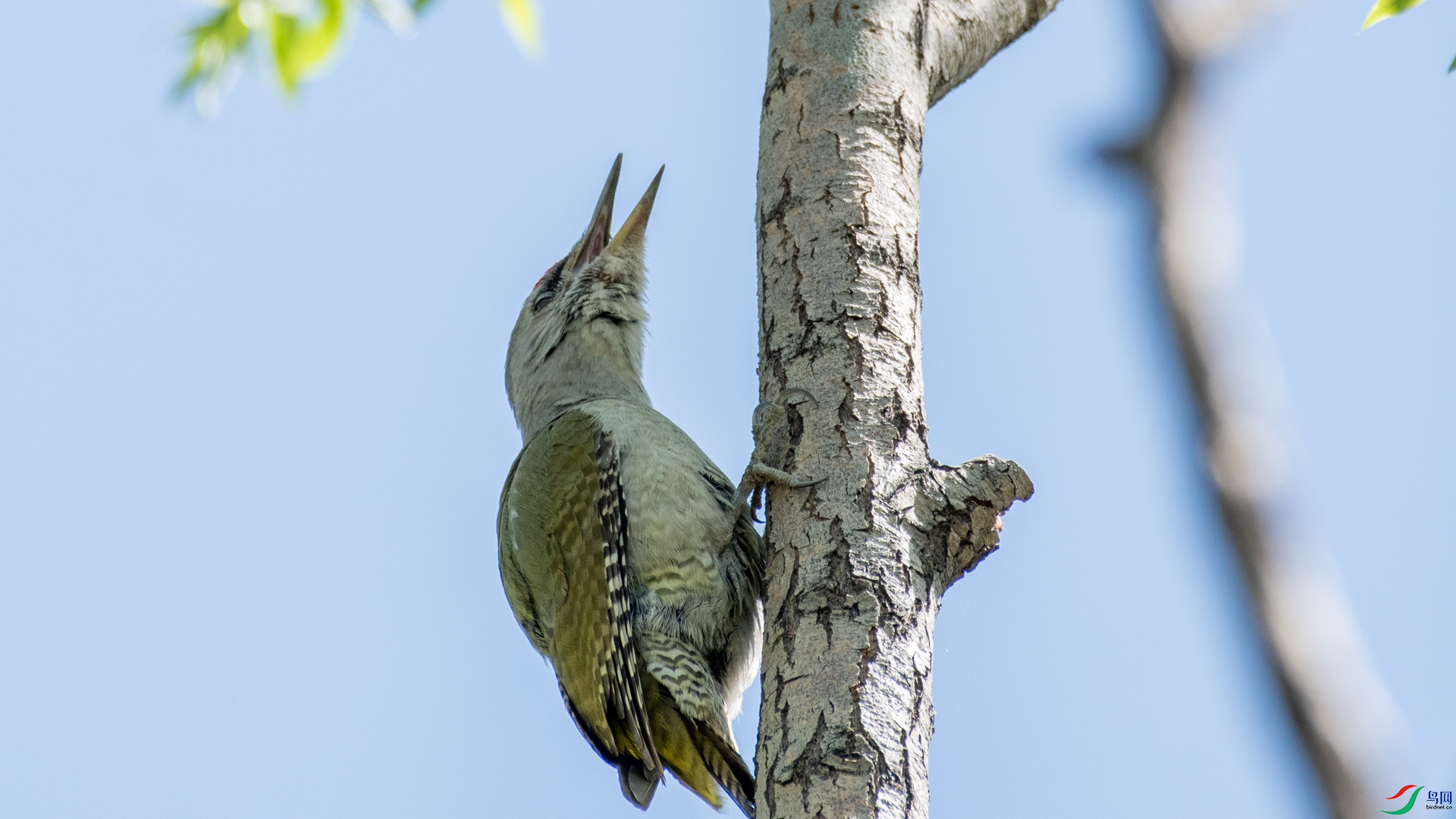 DSC_8694.jpg