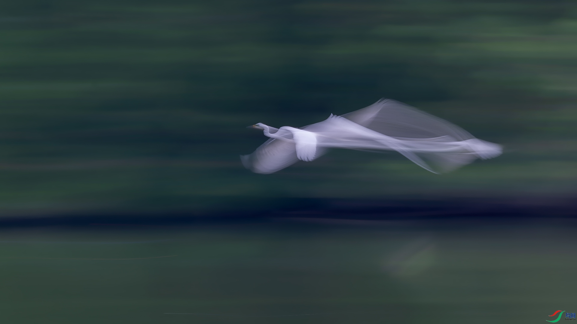 _CGS4616.jpg